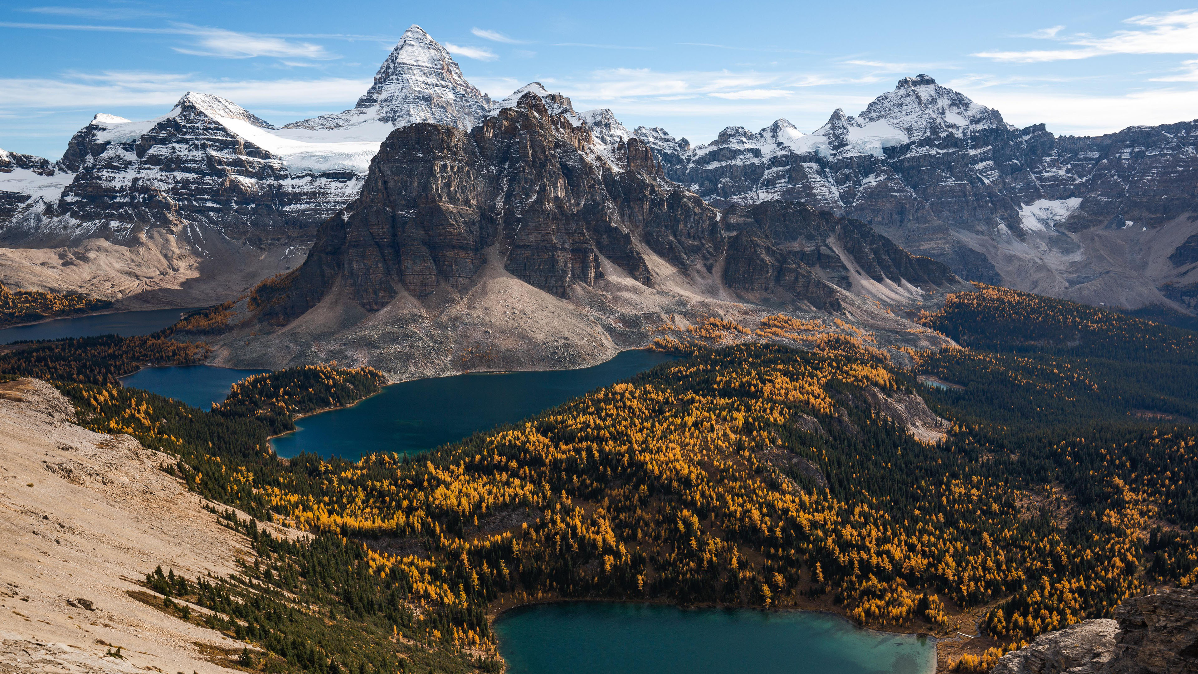 雪山,树林,山峰,湖水