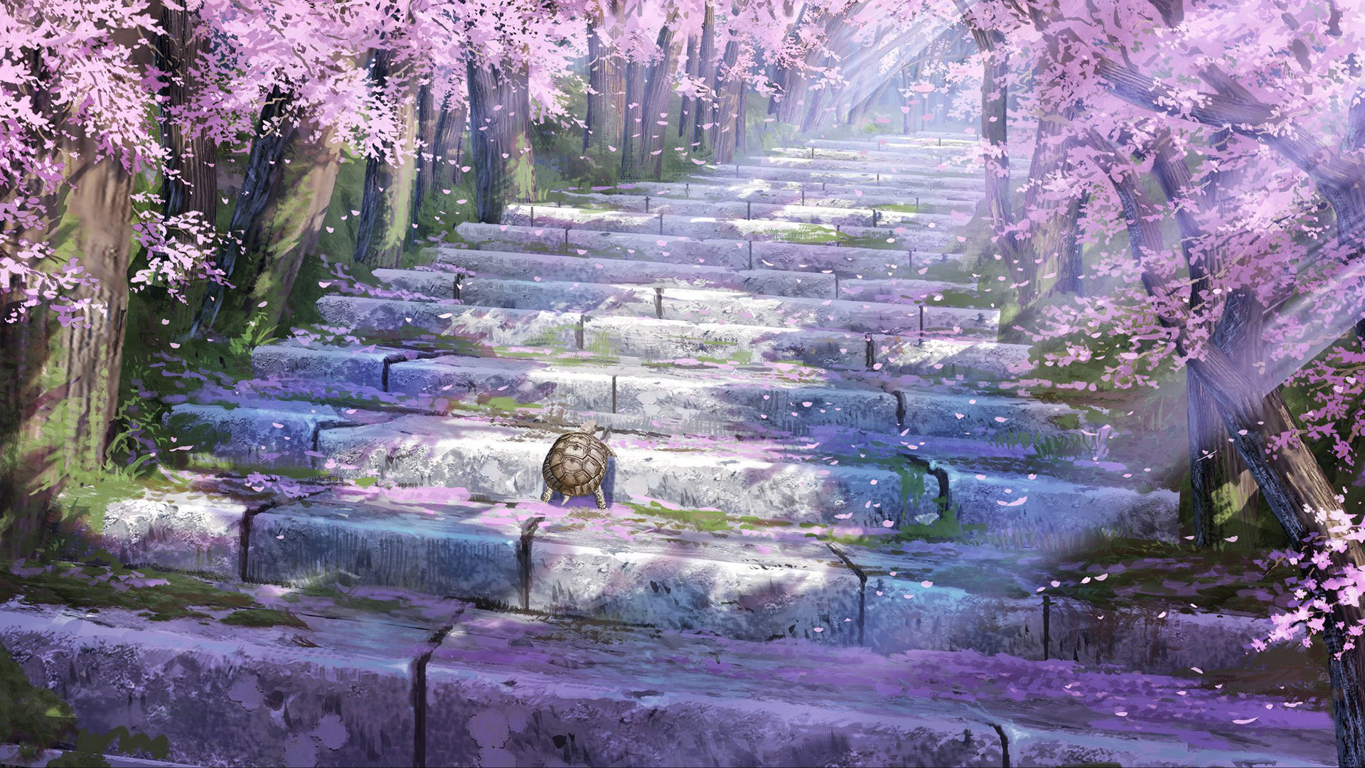 樱花,乌龟,台阶