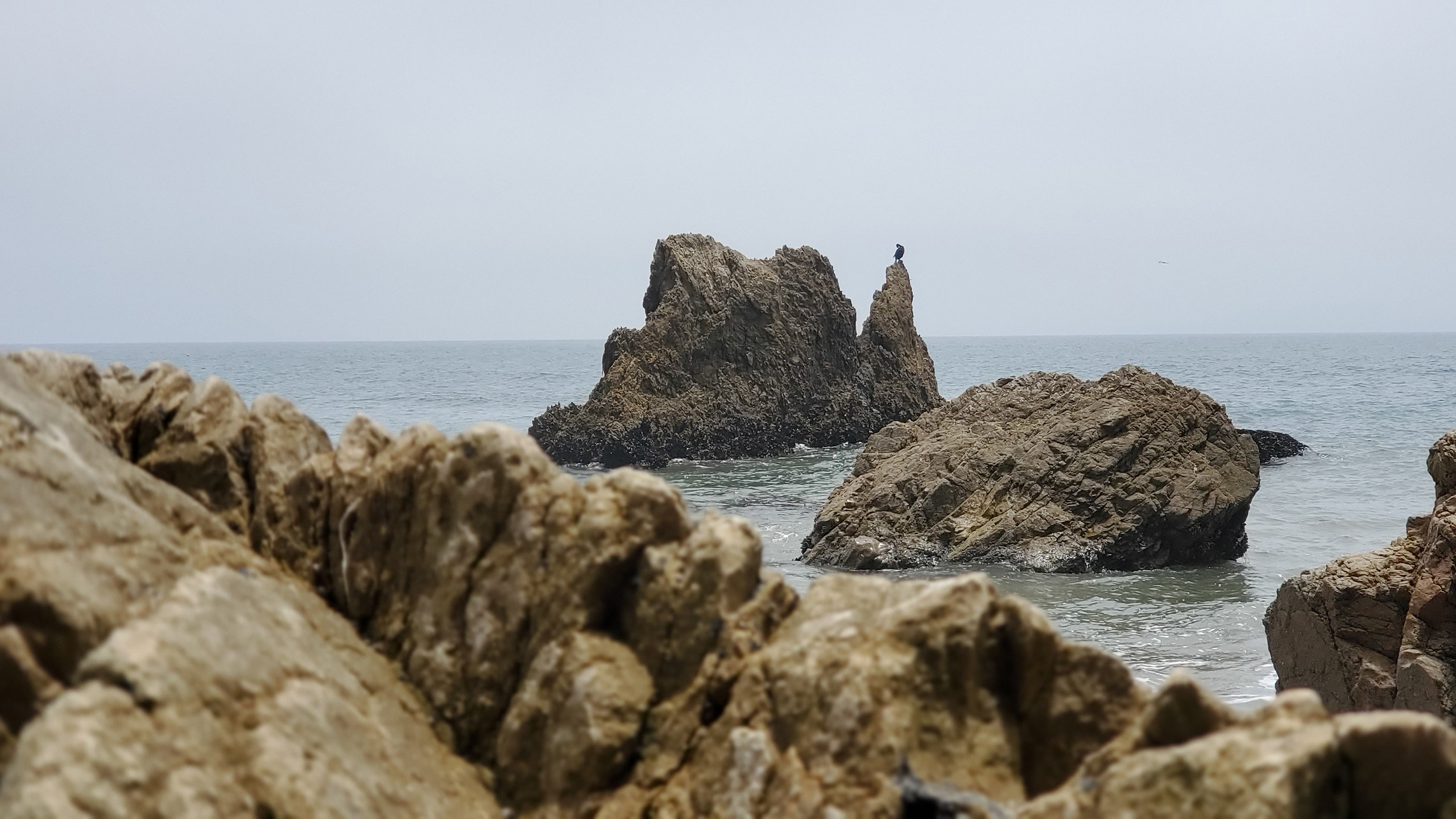 海洋天堂,石头,海鸥,岩石,海浪