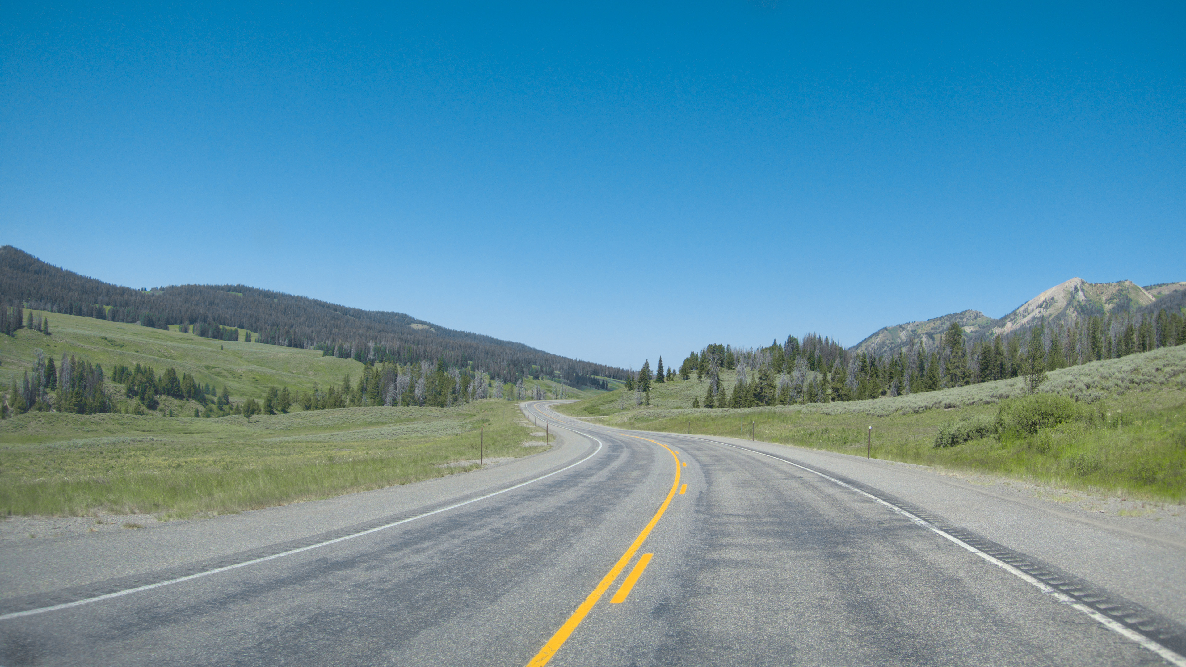 公路,蜿蜒,郊外,树林