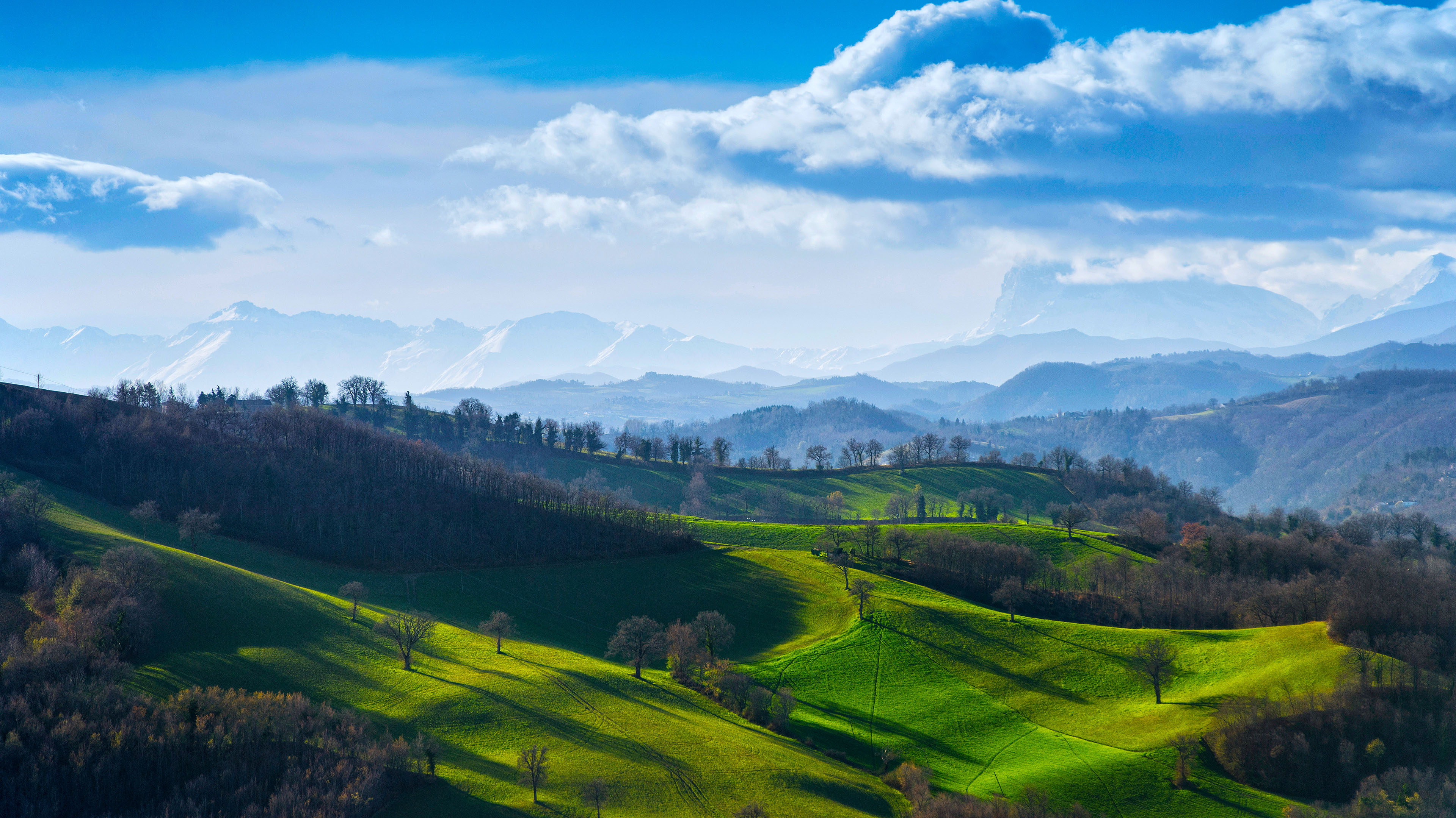 自然风光,山坡,树林,山丘,草坪