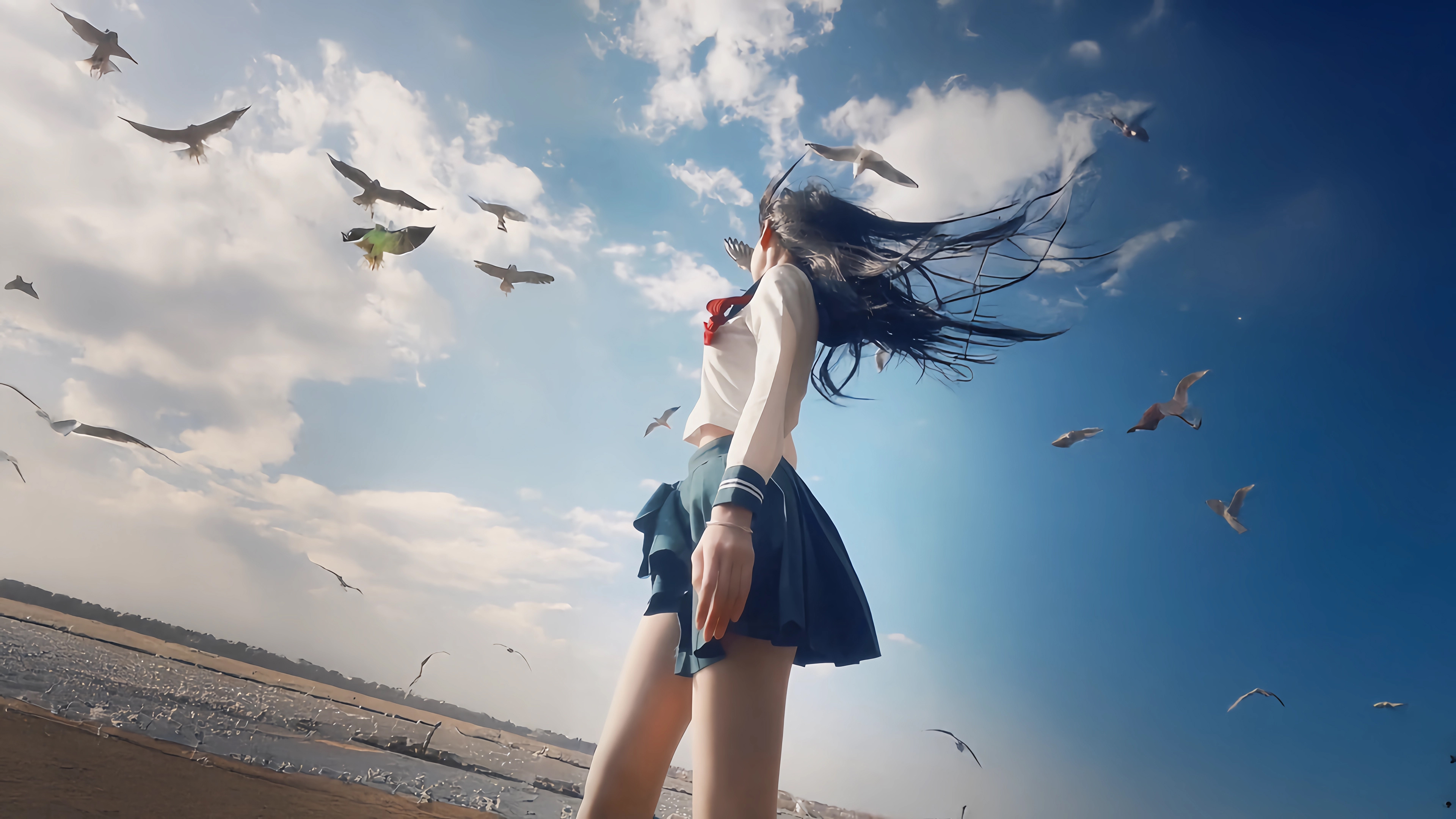 海边女生,海鸥,蓝色天空