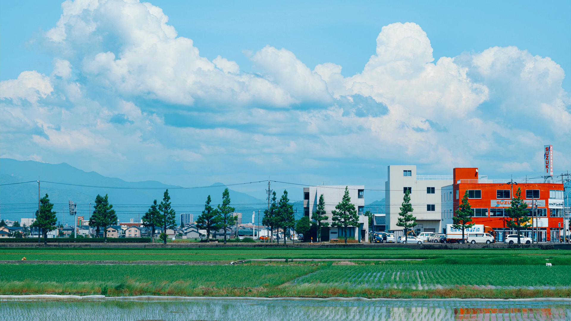 农田,水稻,小镇,蓝天