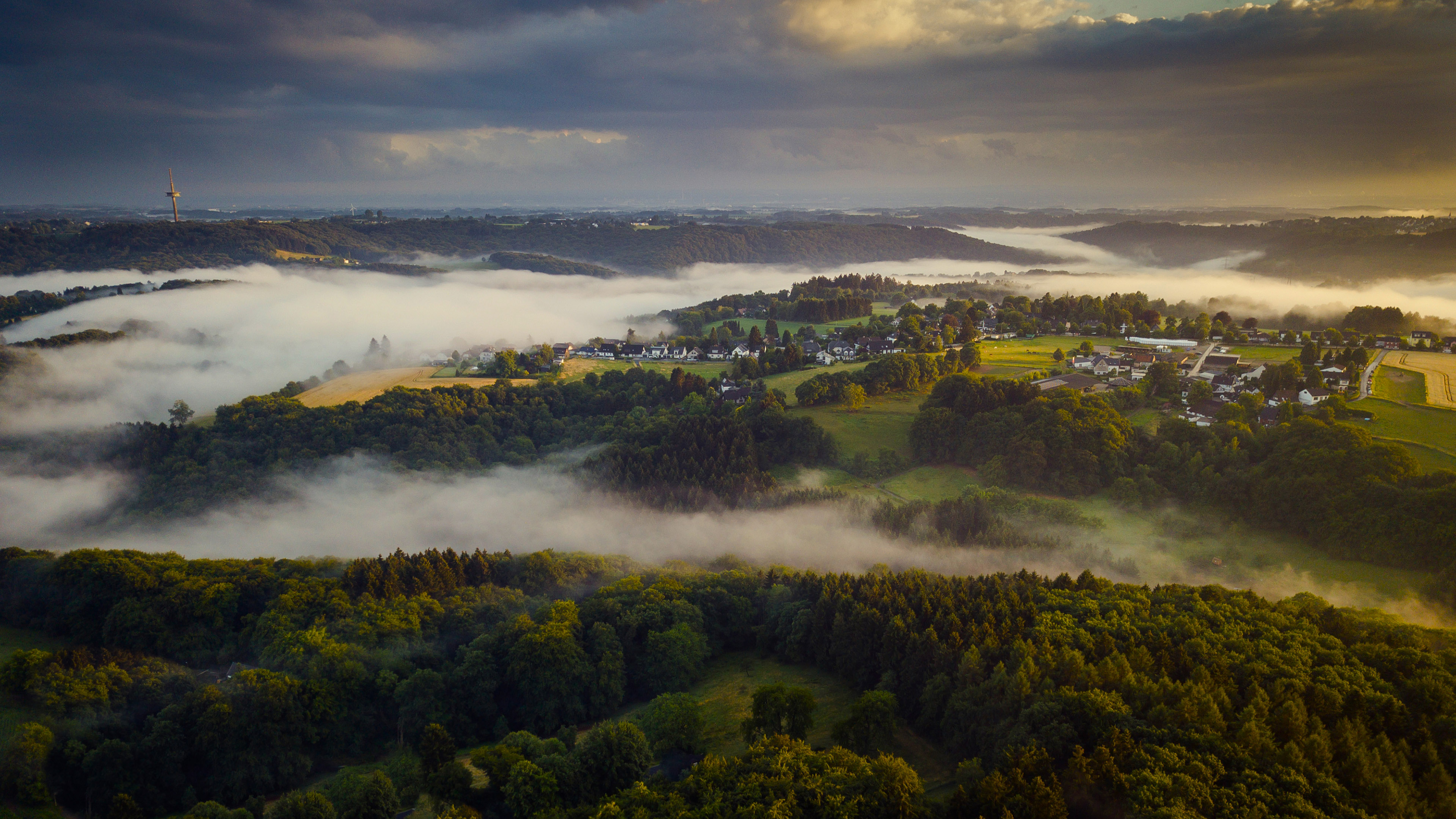 清晨,迷雾,树林,俯瞰
