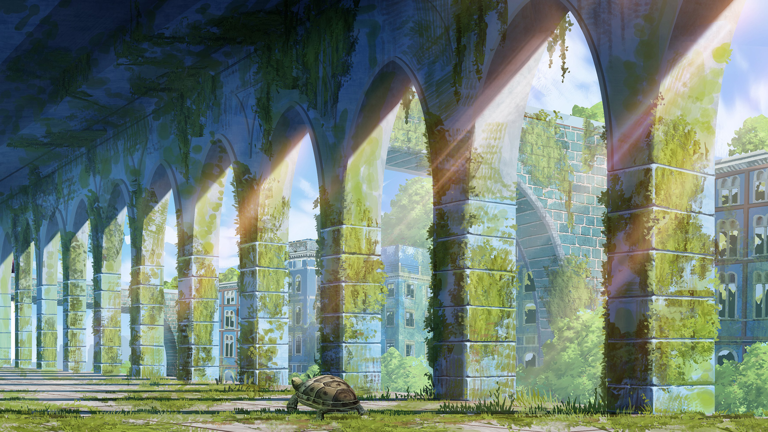 乌龟,阳光,废弃遗迹