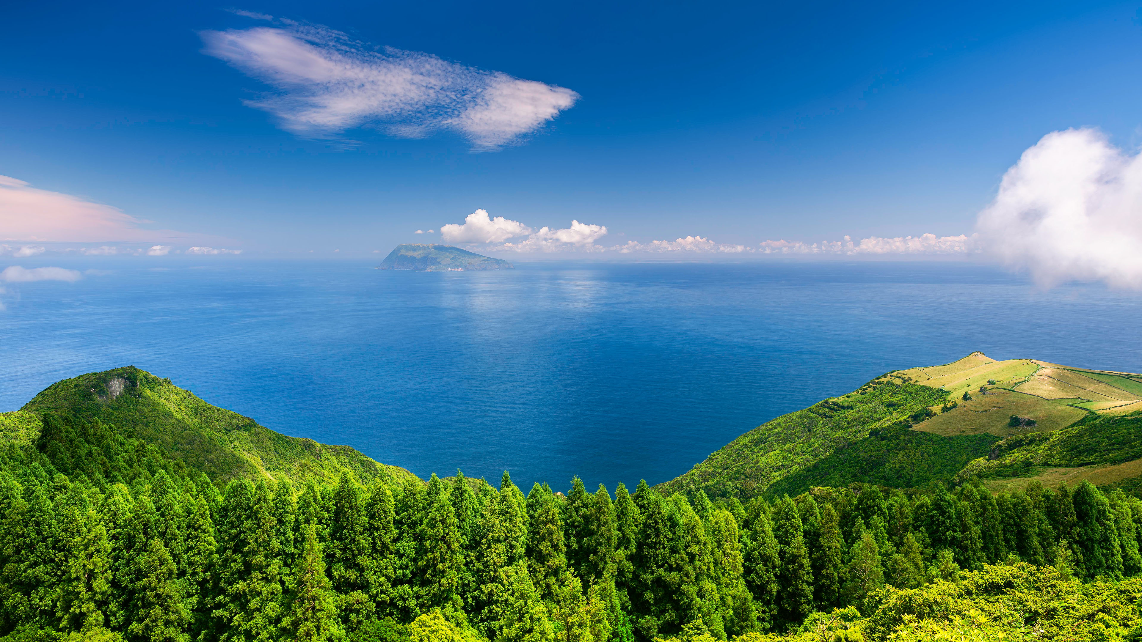 山海相连,树林,云朵,海天一线