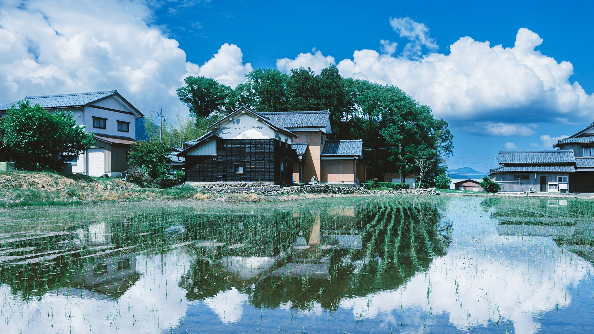 农田,乡村,白云,倒影