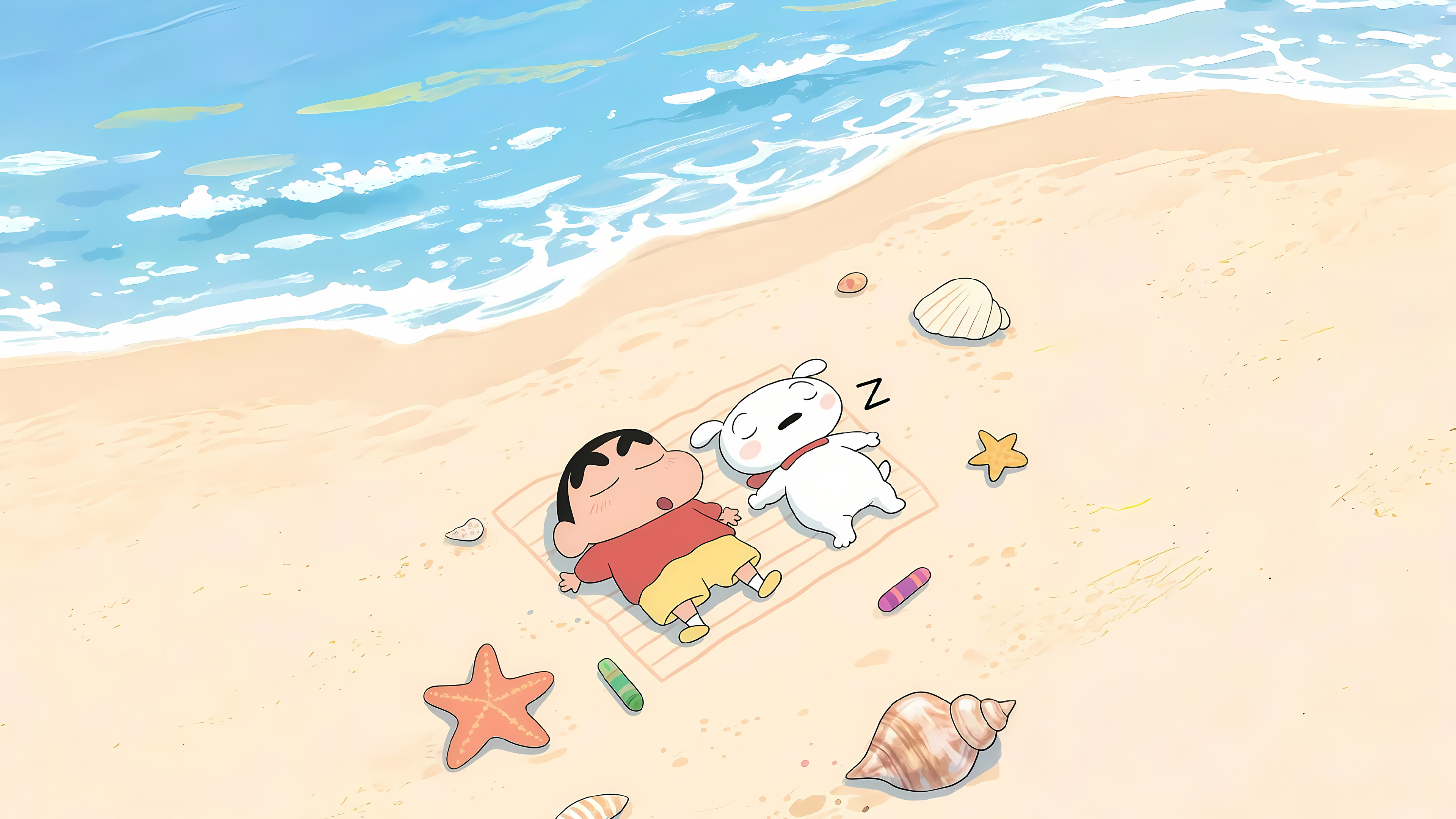 大海,海边,海滩,蜡笔小新,小狗,贝壳