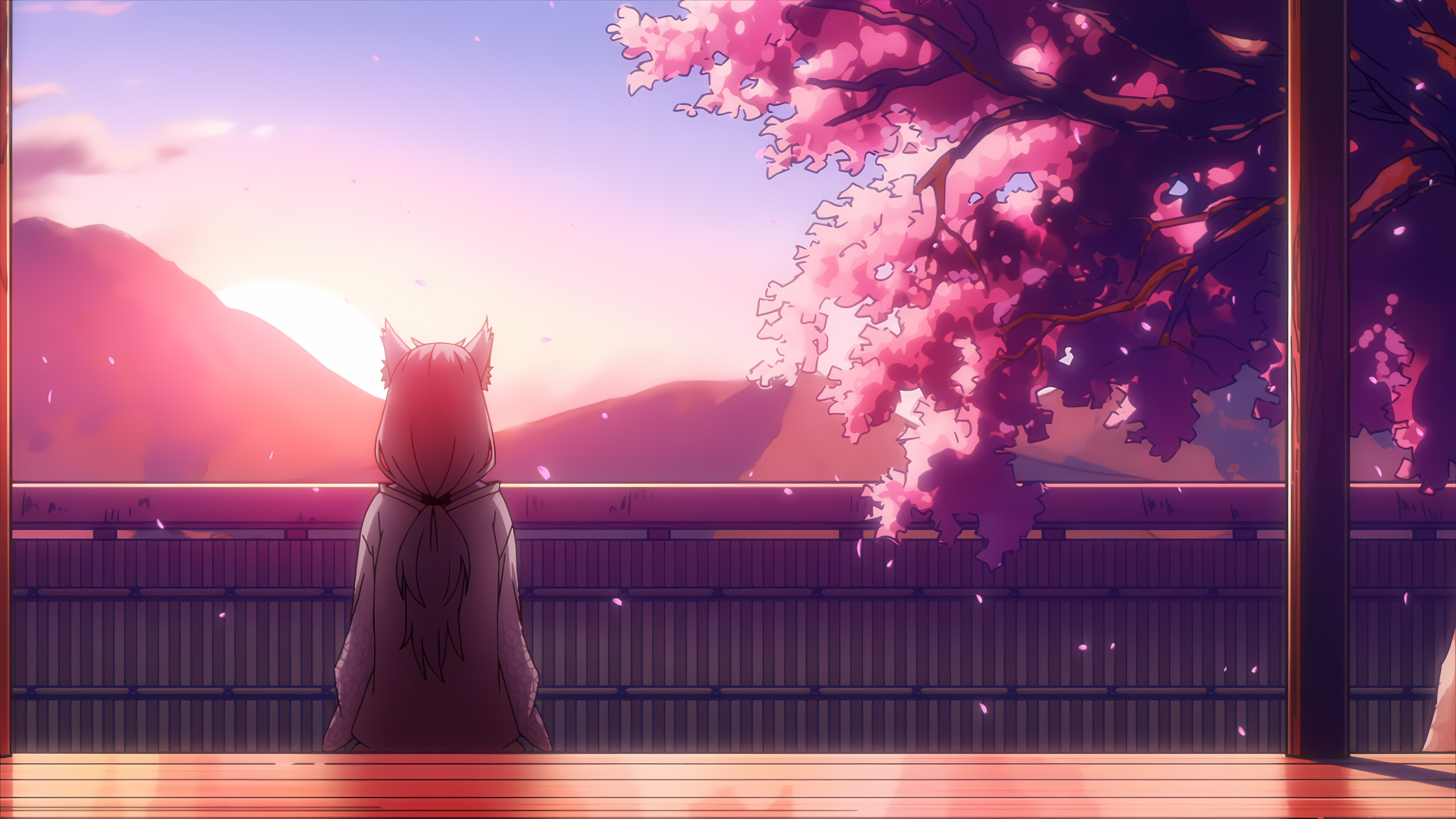 夕阳,背影,樱花,兽耳