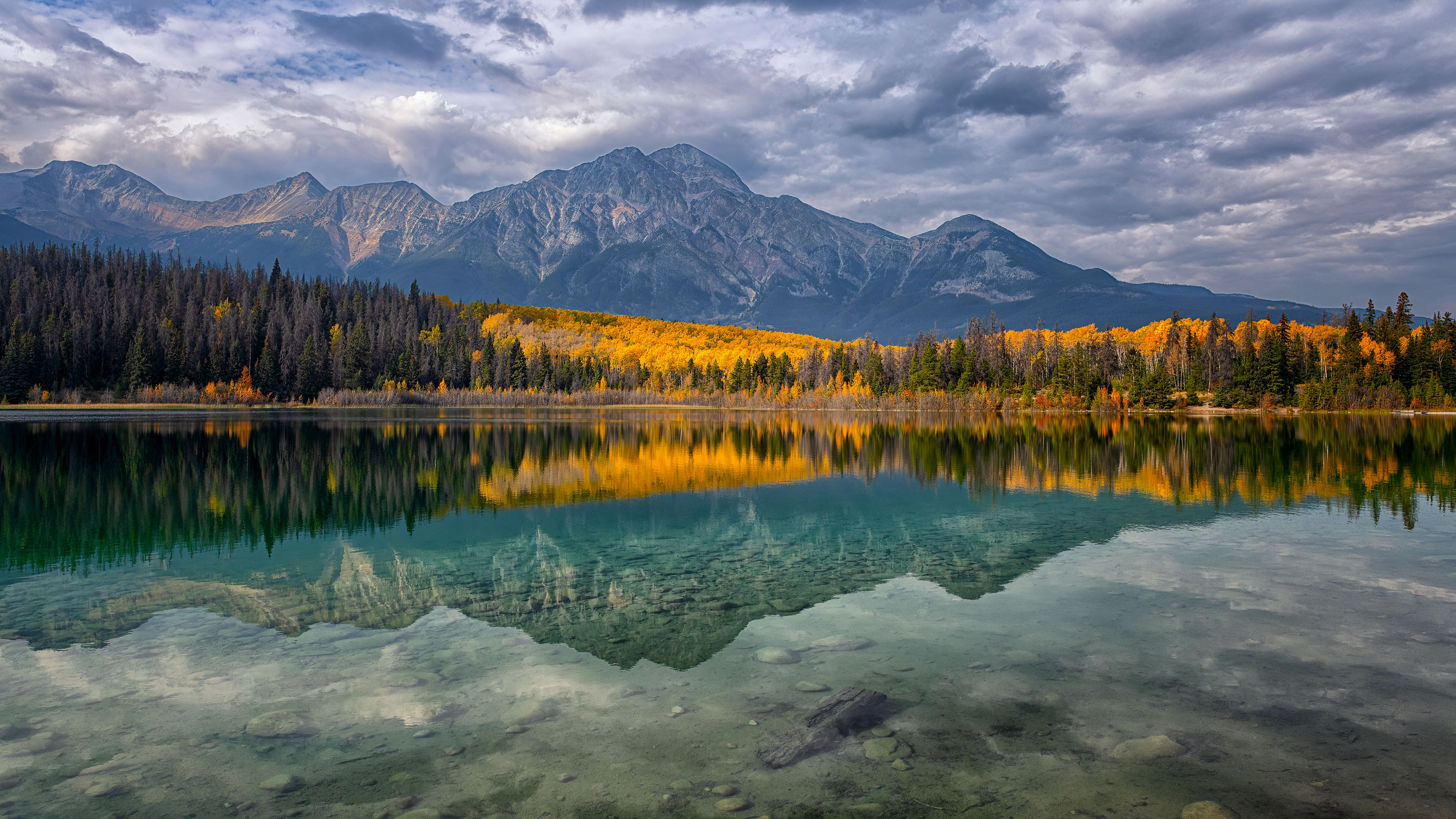 自然风光,倒影,树林,深秋