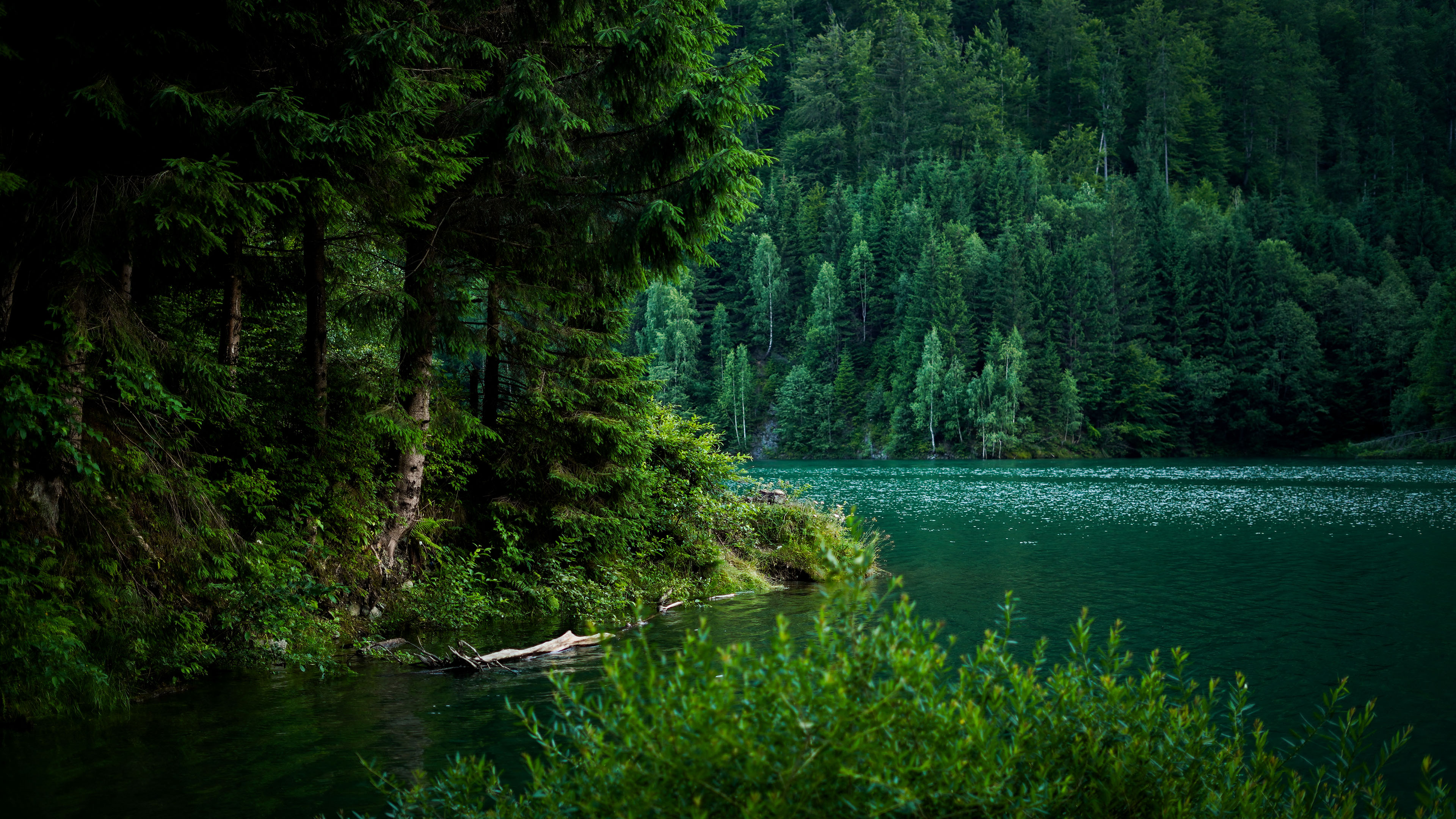 青山绿水,树林,微波粼粼
