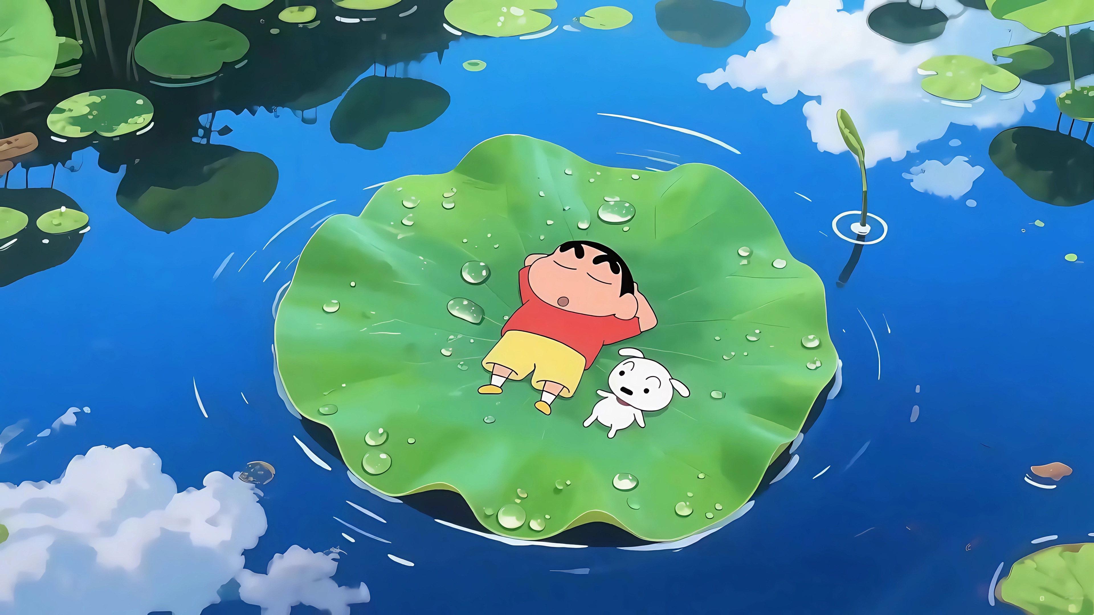 蜡笔小新,荷叶,小白