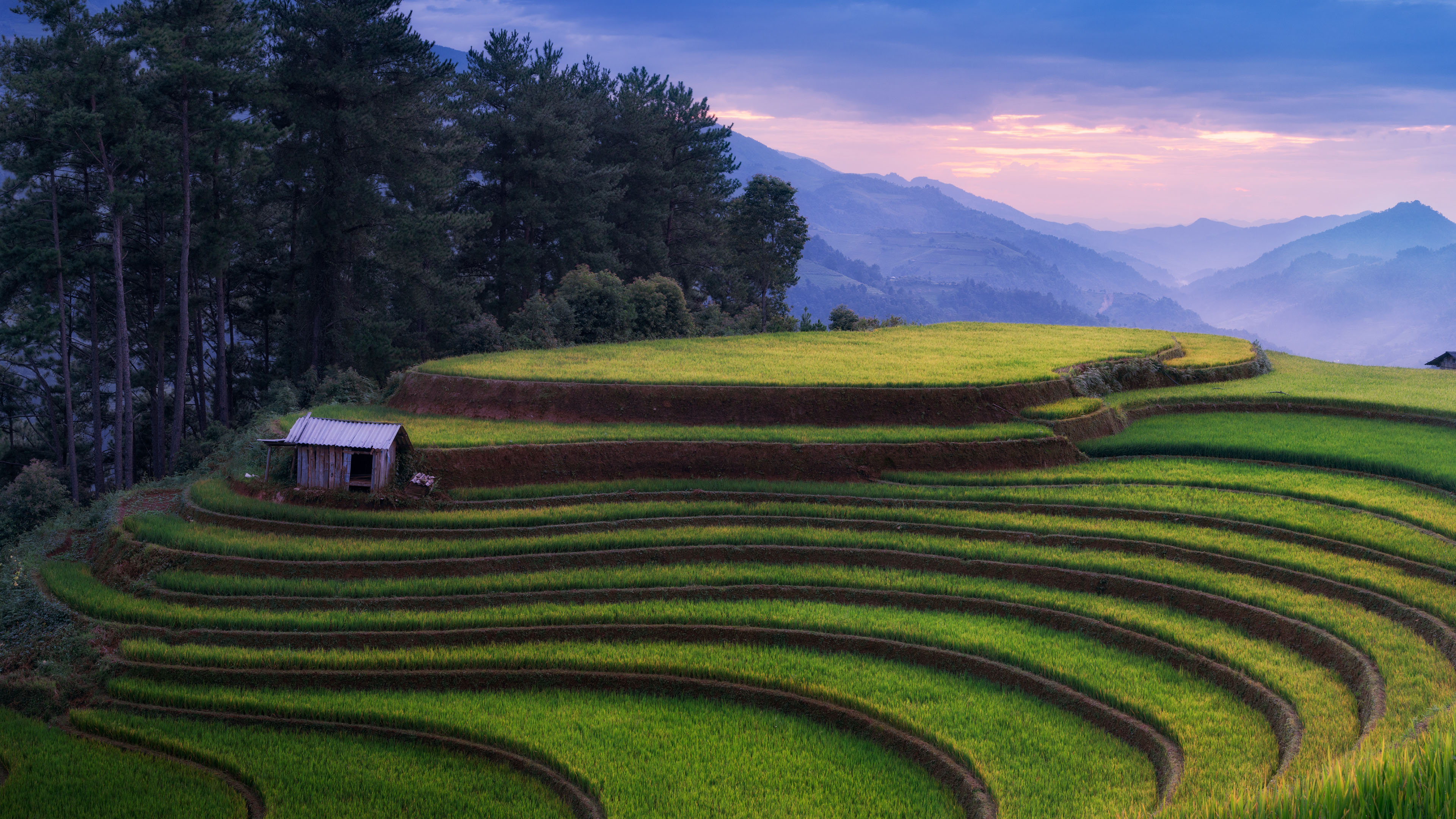 自然风光,梯田,小屋,乡村