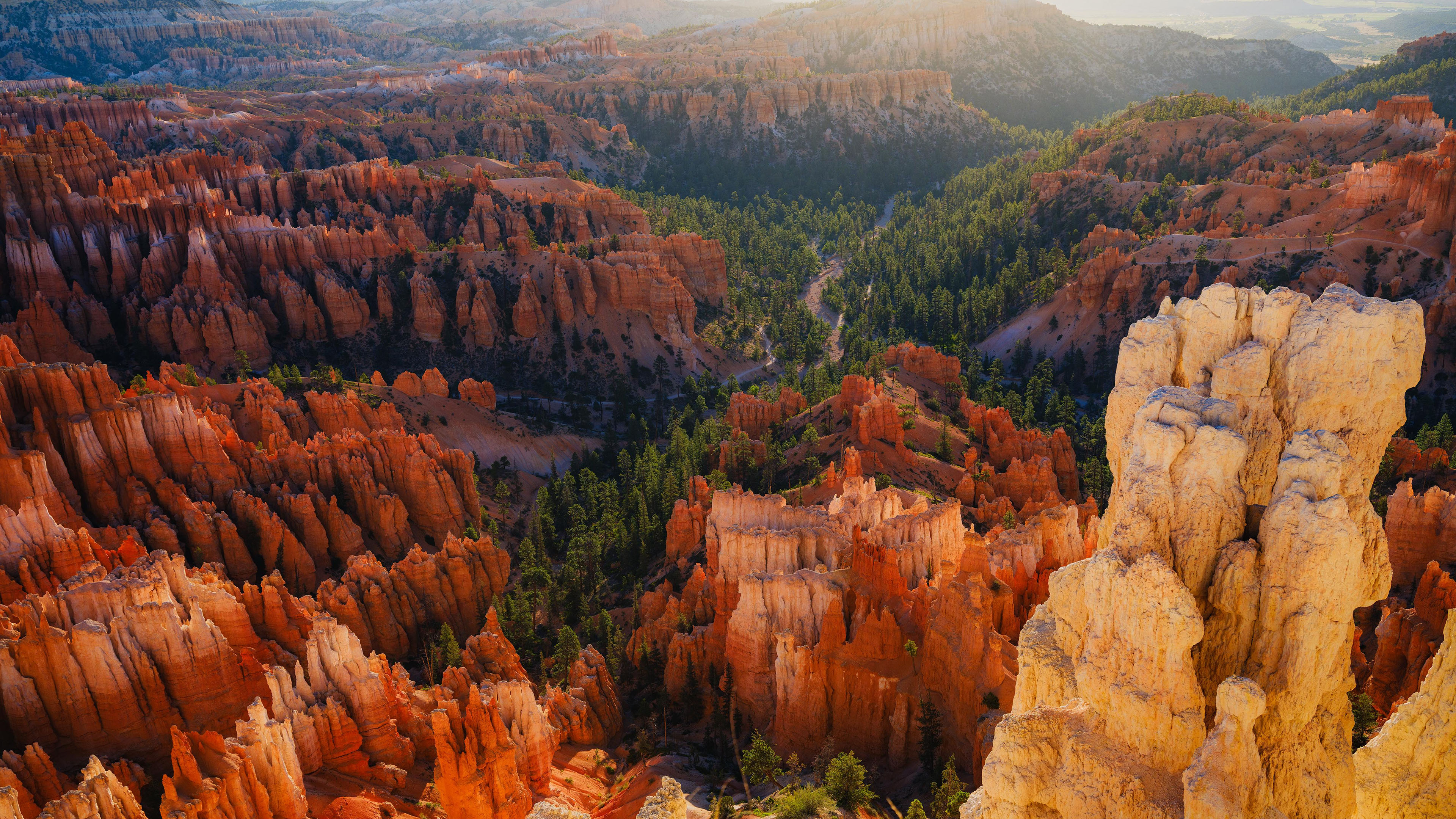 自然风光,怪石,红土,丘陵