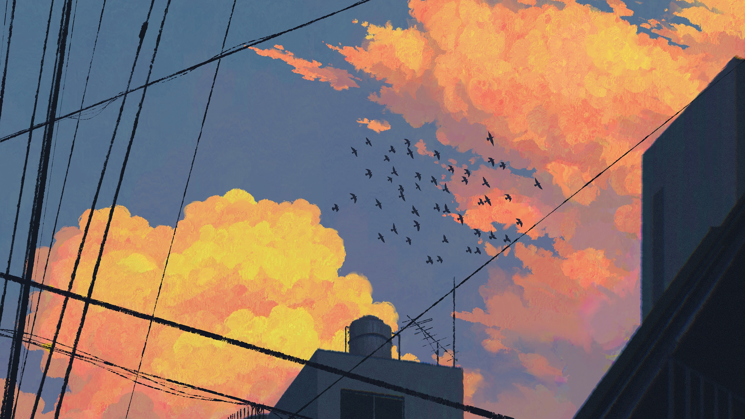 晚霞,鸟群,电线,城市角落