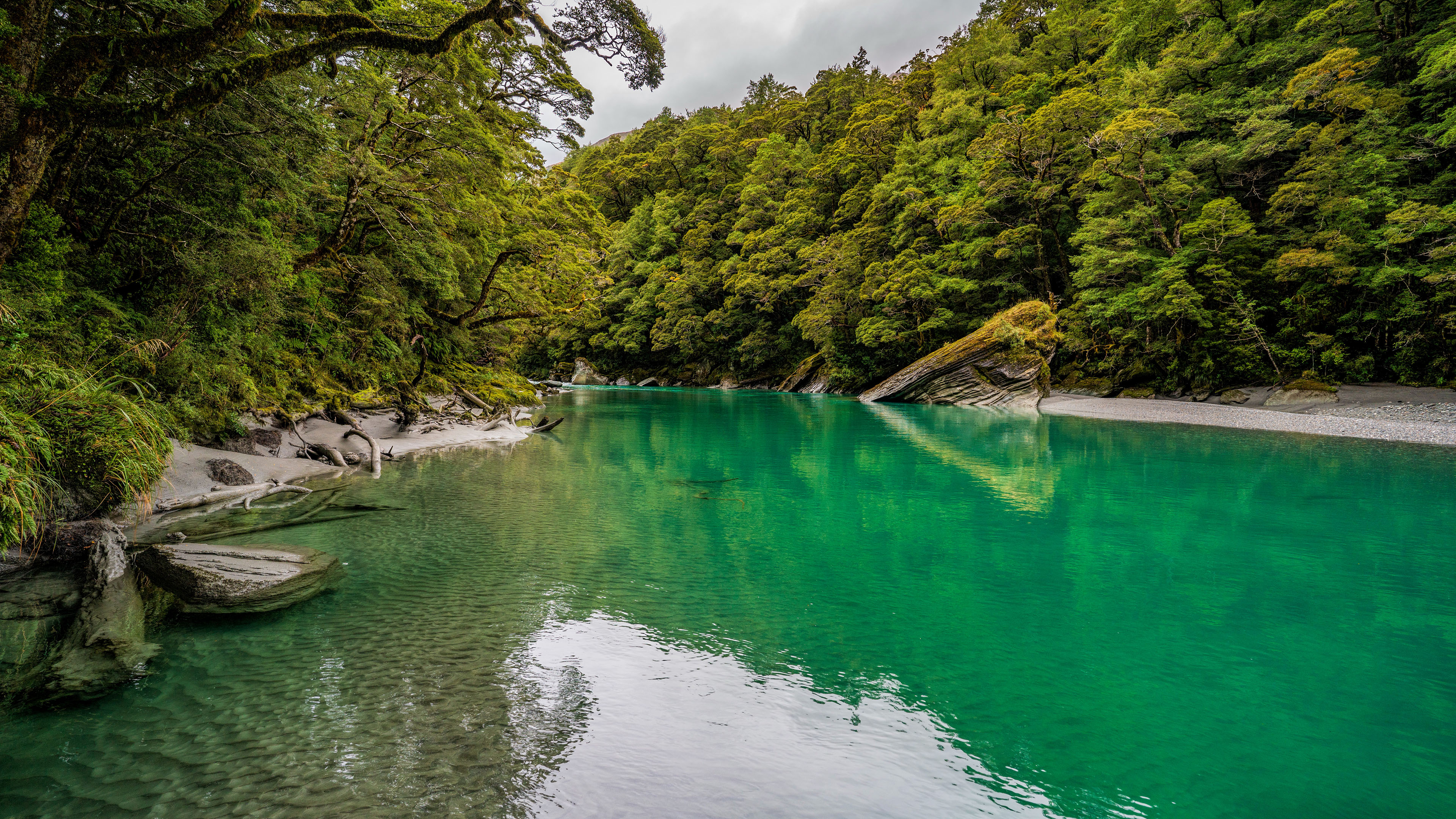 自然风光,倒影,湖水,树林
