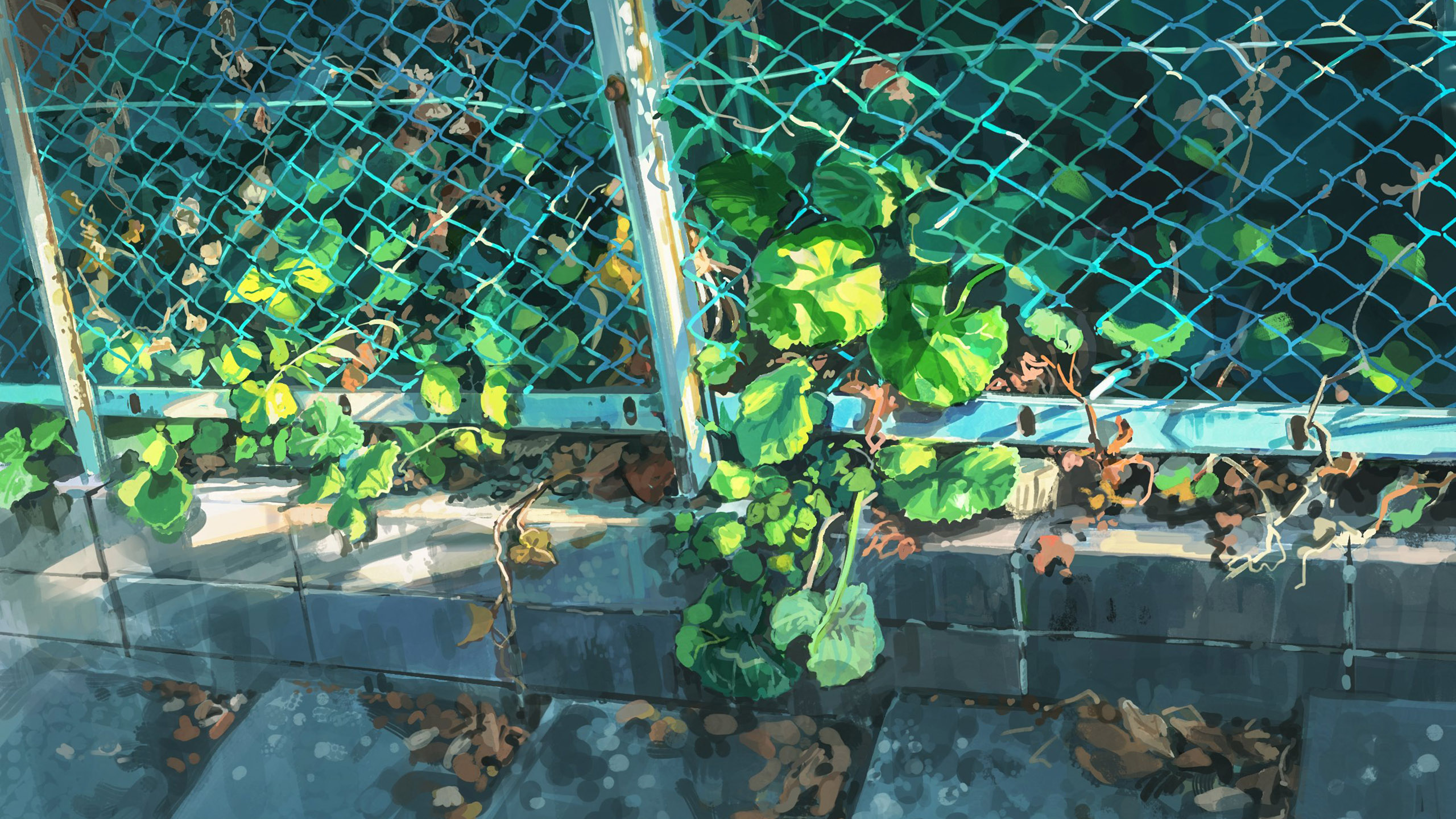 铁网,藤蔓,树叶,叶子