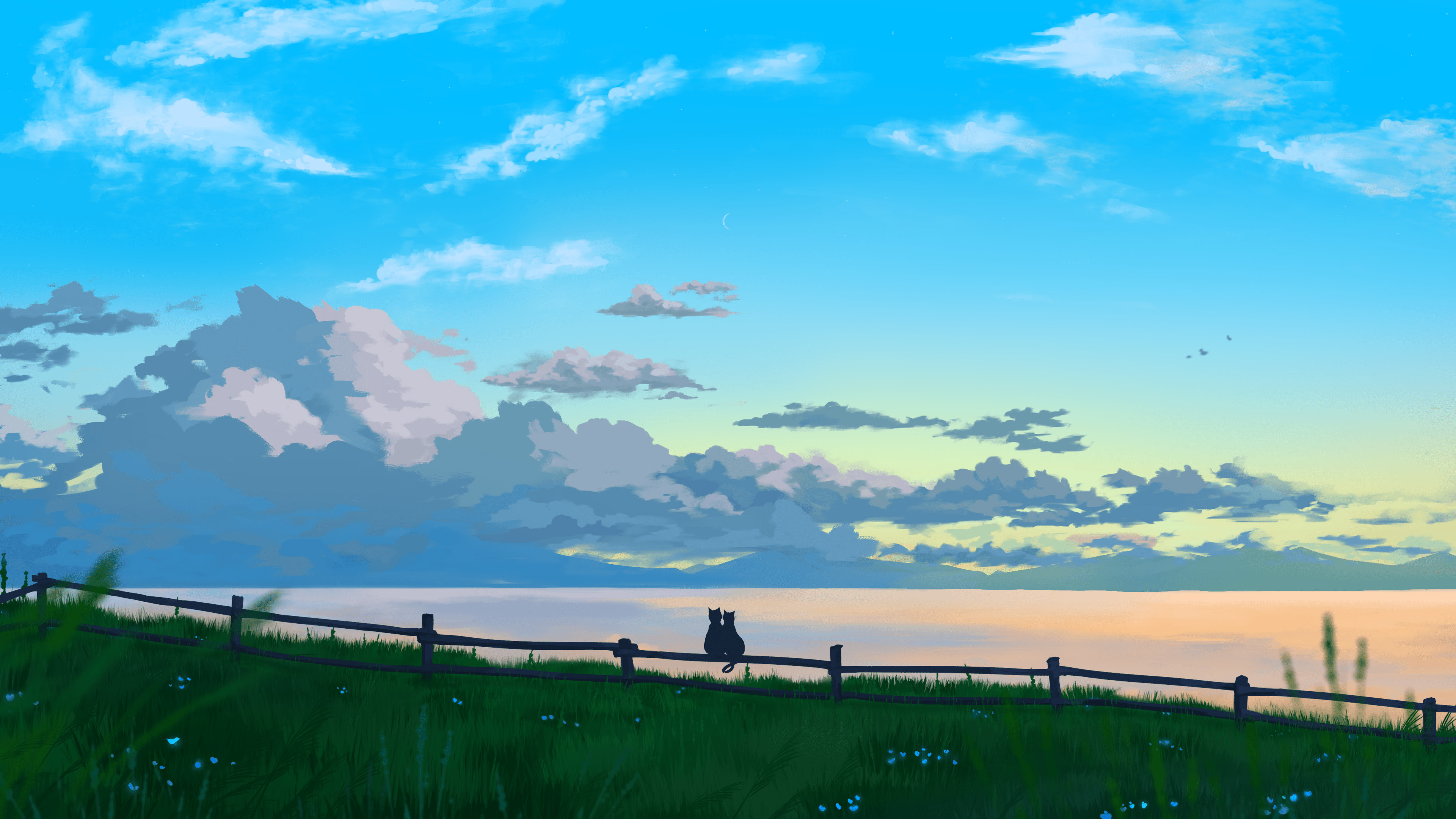 傍晚,两只猫咪,海湾