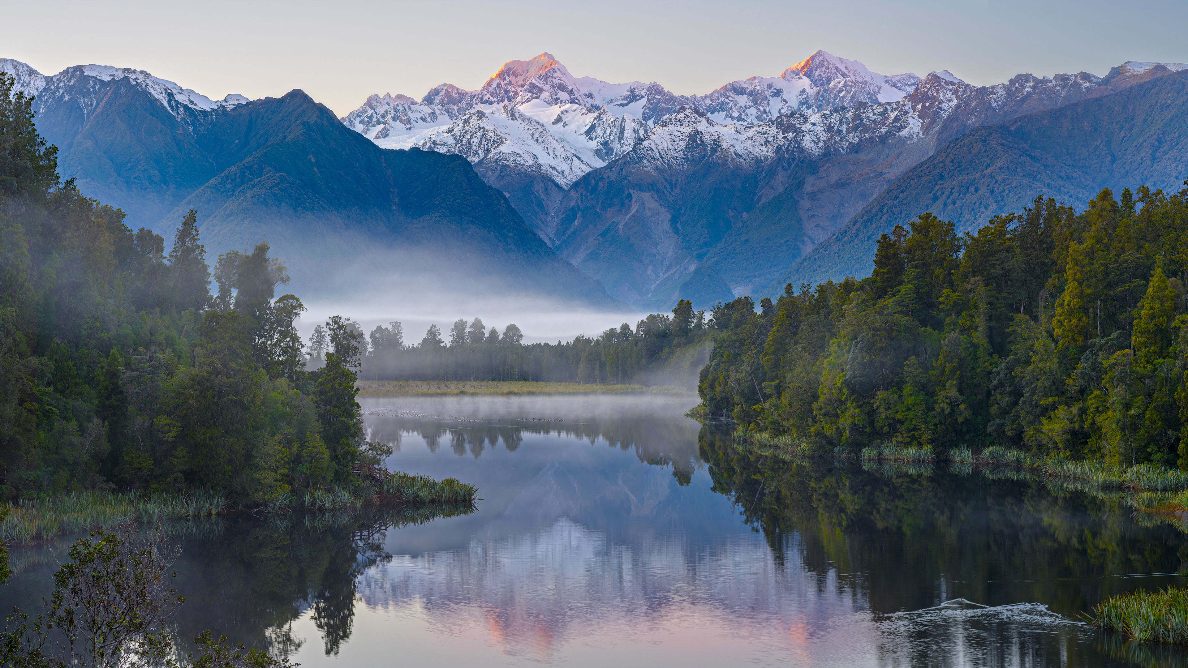 自然风光,雪山,树林,雾