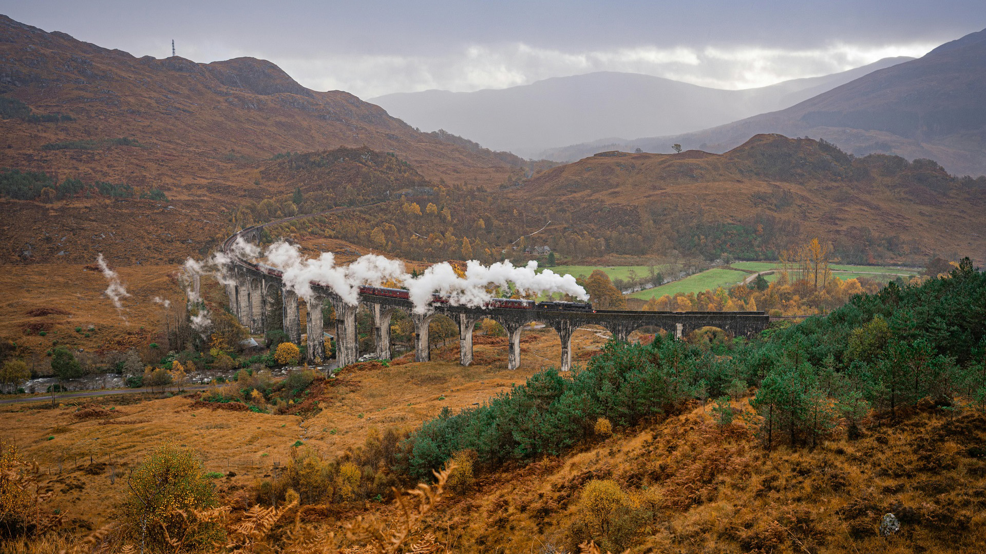 深秋,秋意正浓,红树林,火车,蒸汽机