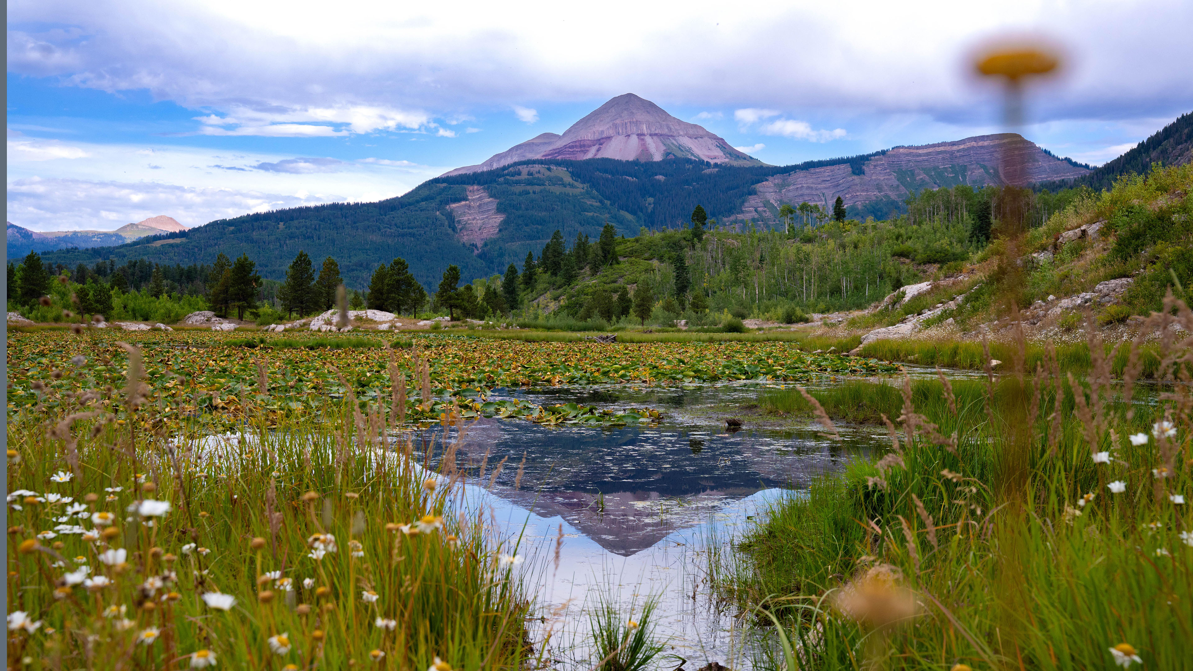 山峰,小野花,水潭,树林