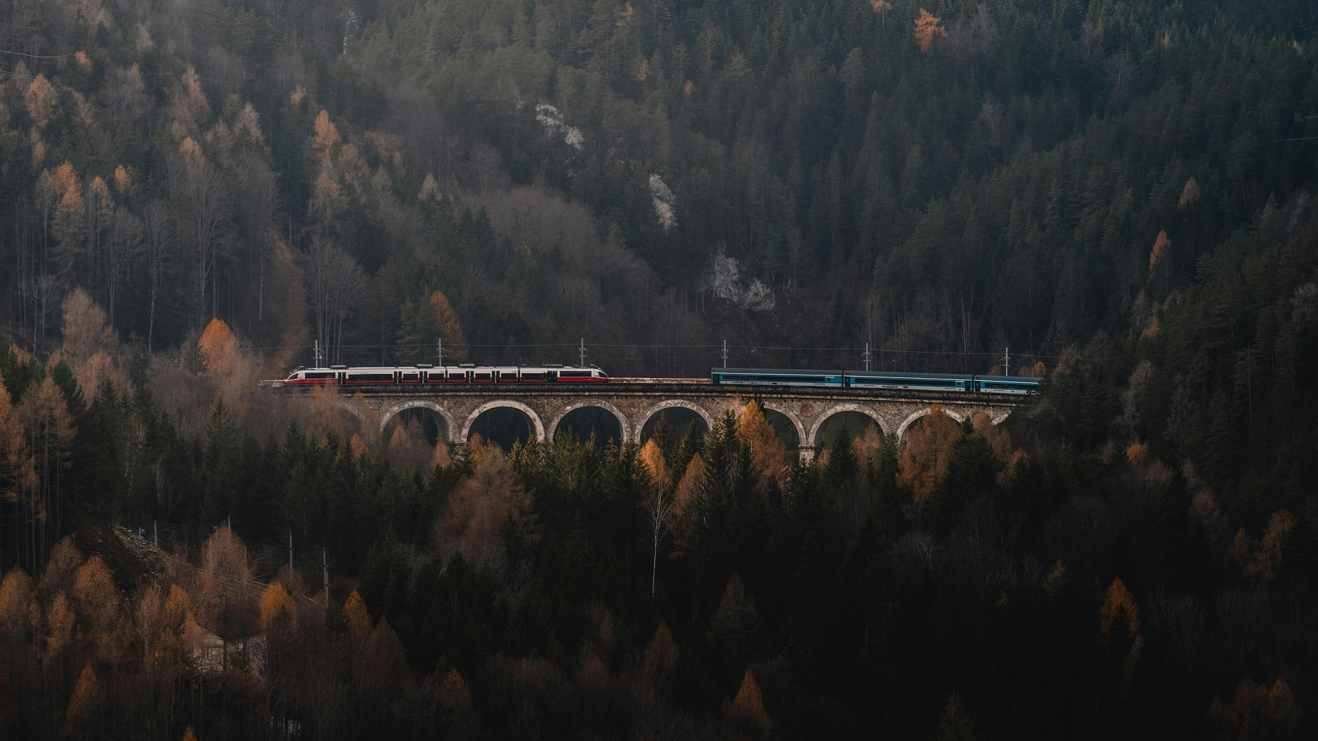 自然风光,森林,火车,拱桥