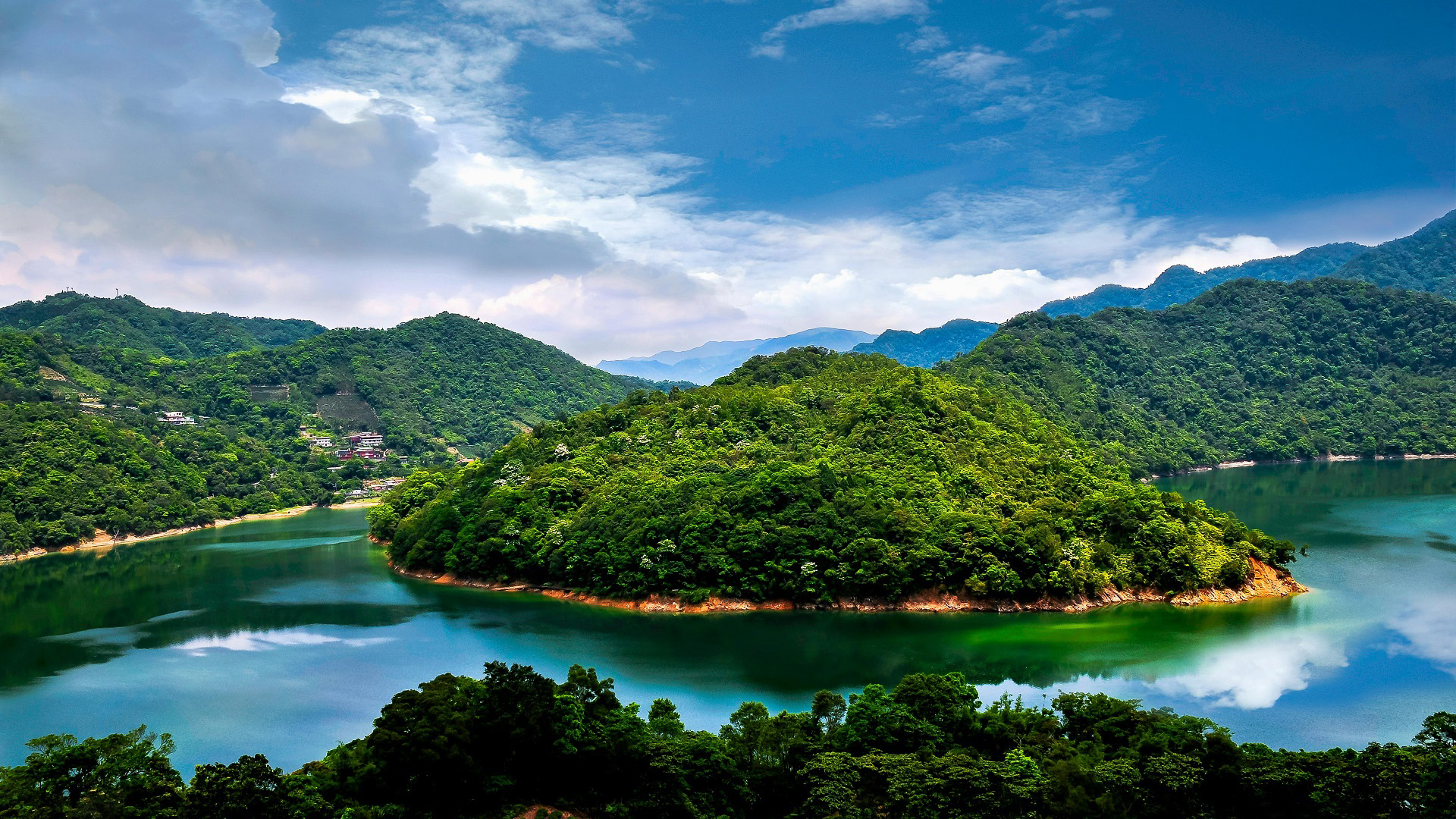 自然风光,树林,河流