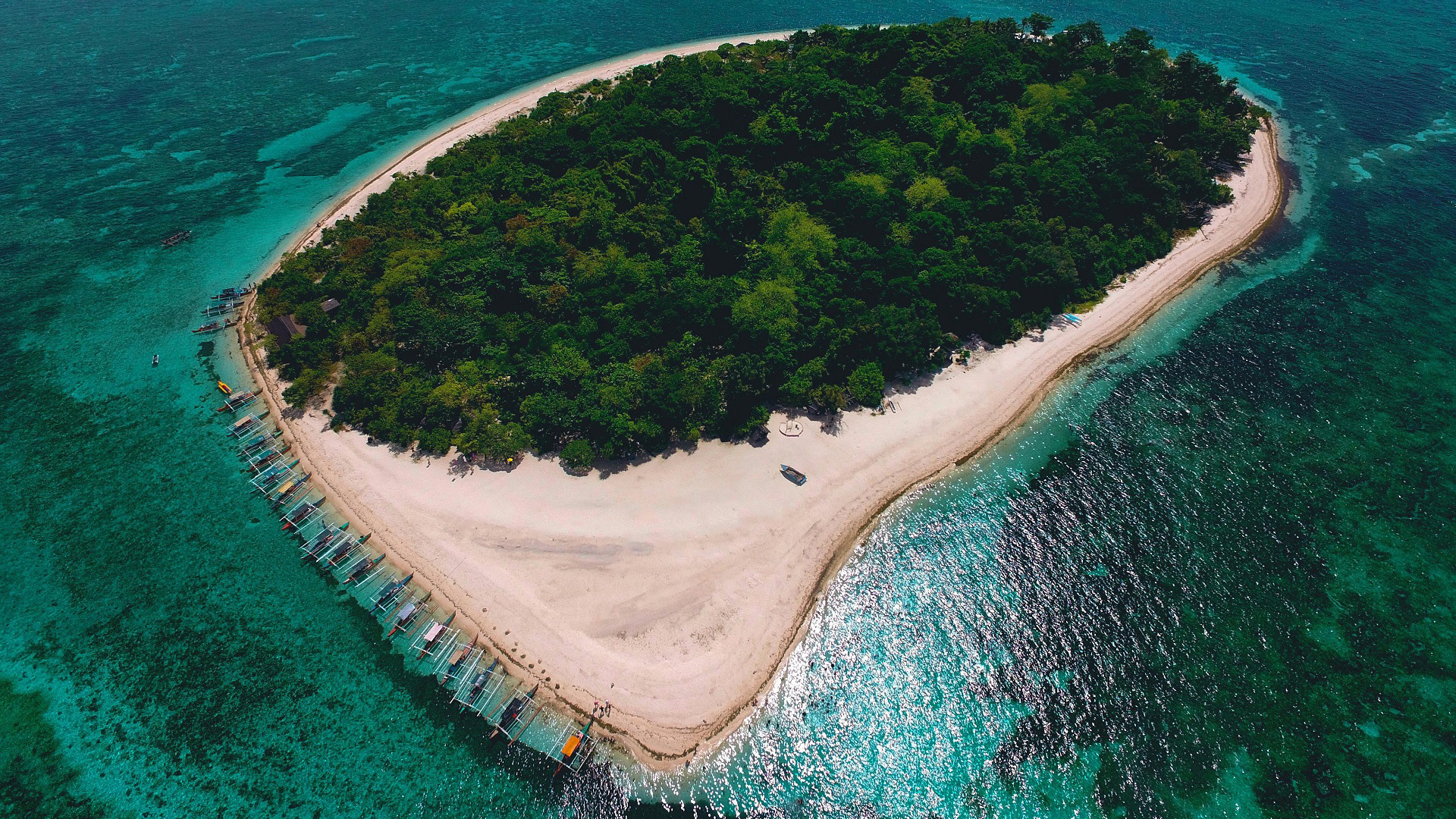 海洋天堂,小岛,树林,