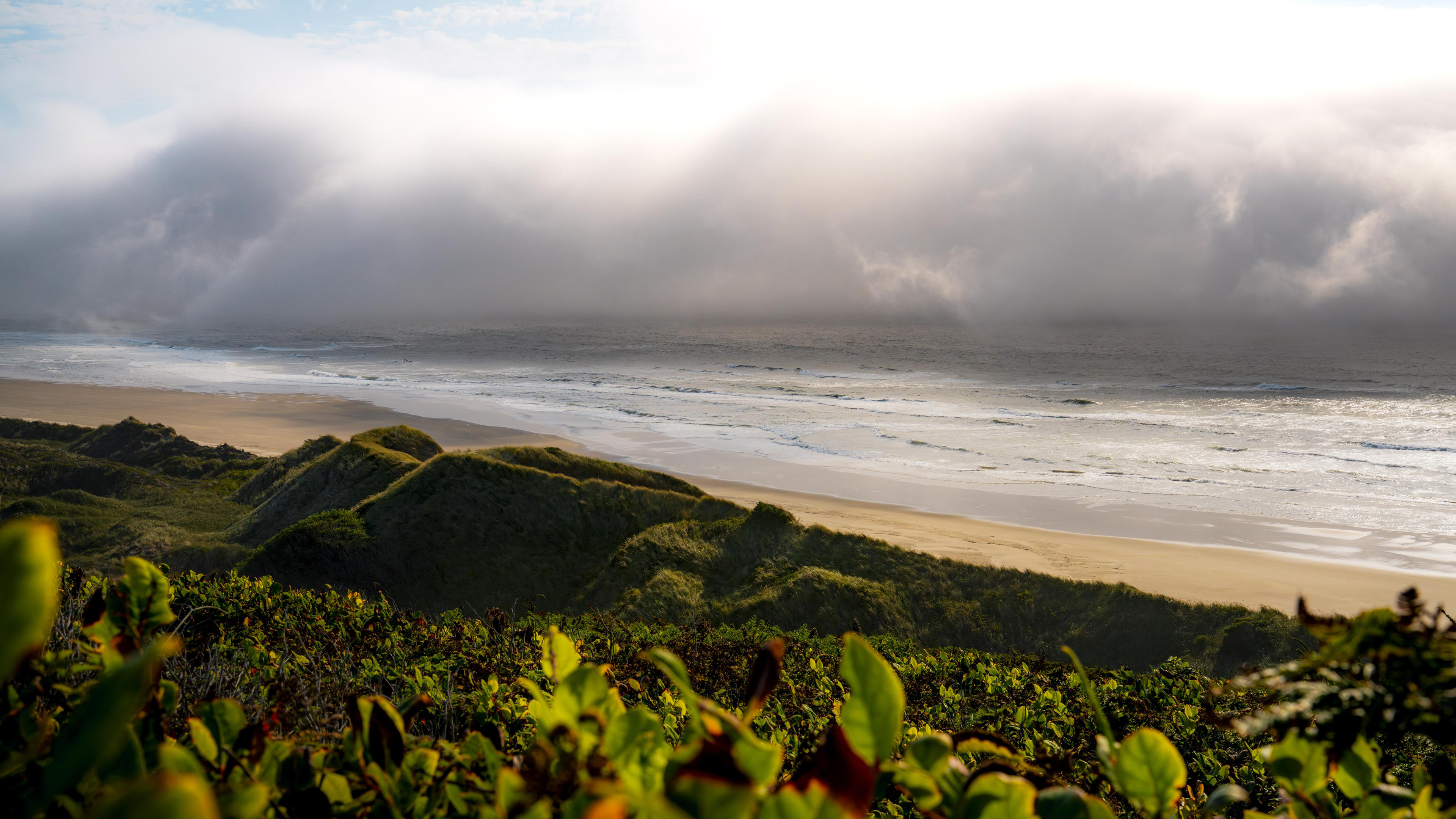 海洋天堂,海浪,沙滩,大雾