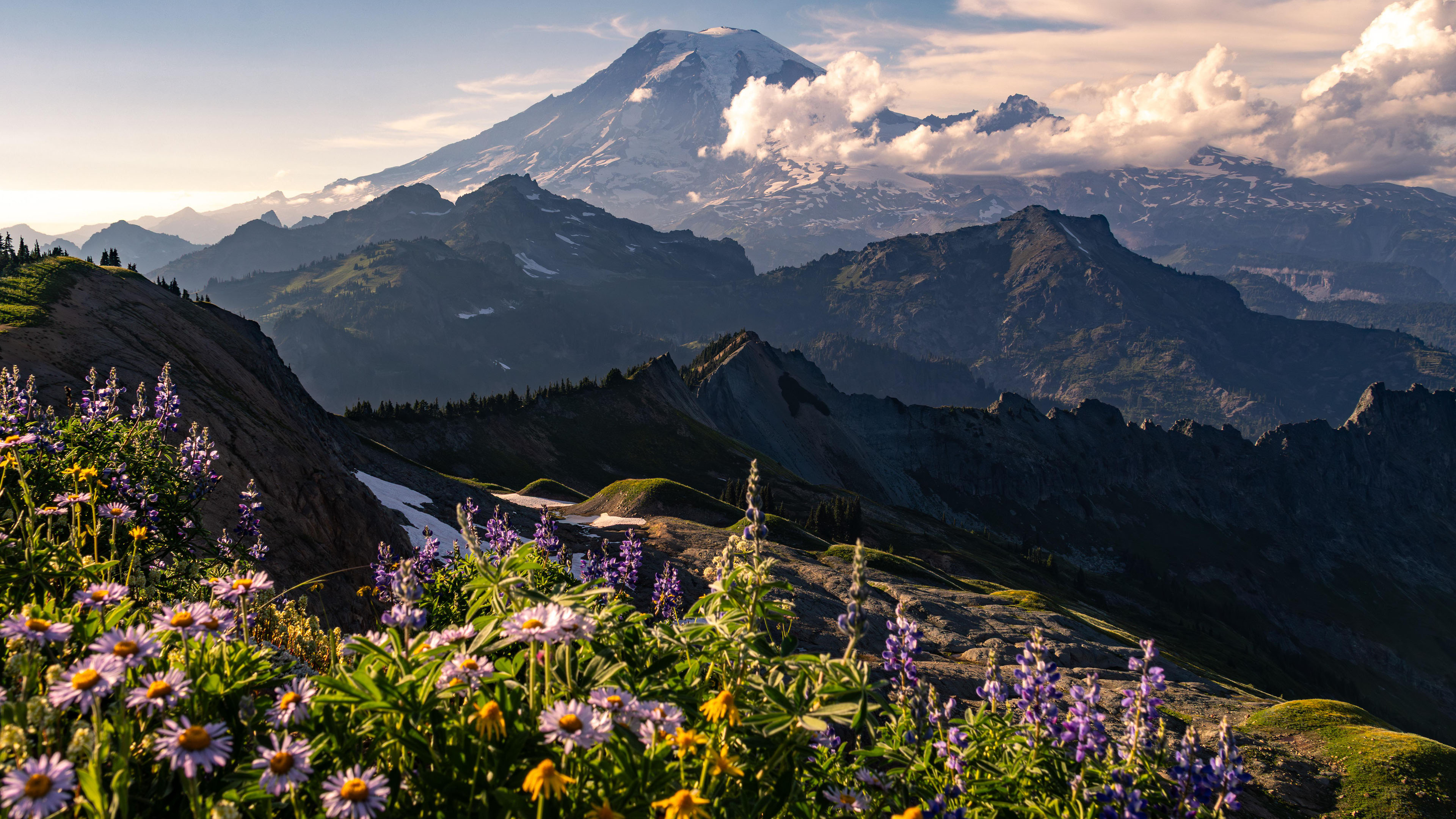 自然风光,薰衣草,山顶