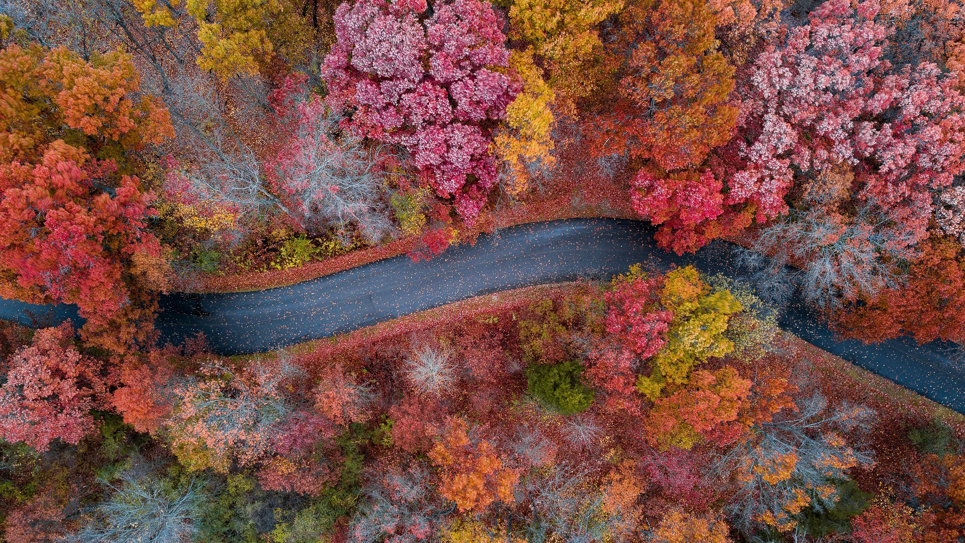 秋意正浓,红树林