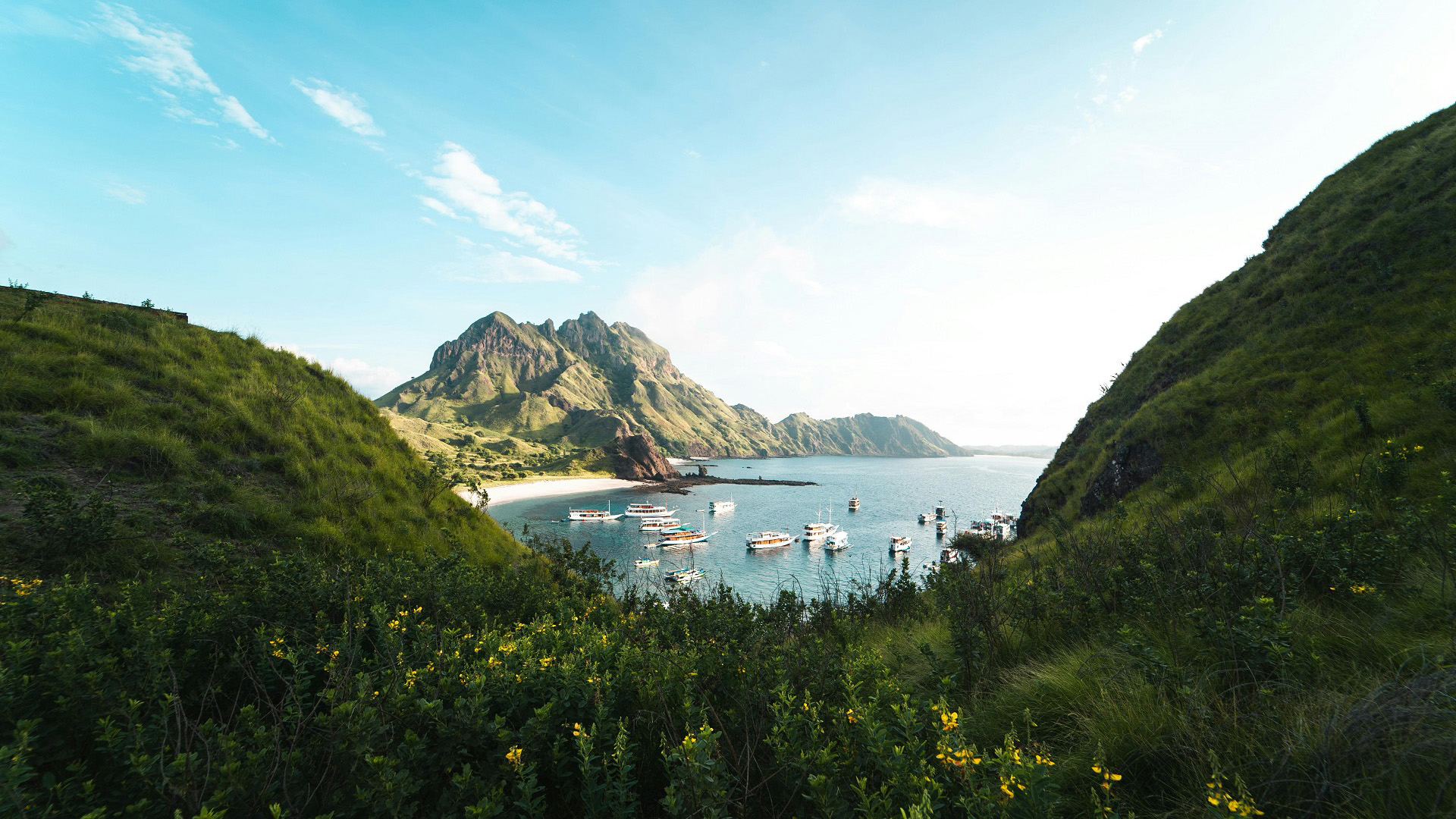 海洋天堂,快艇,海湾