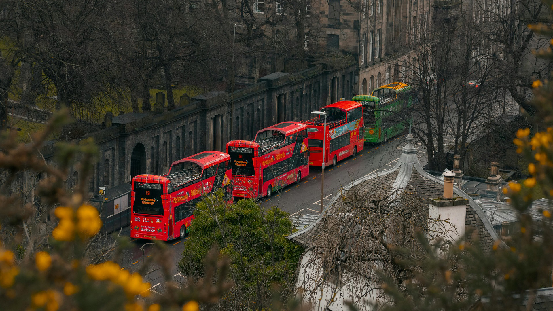 巴士,观光车,街道