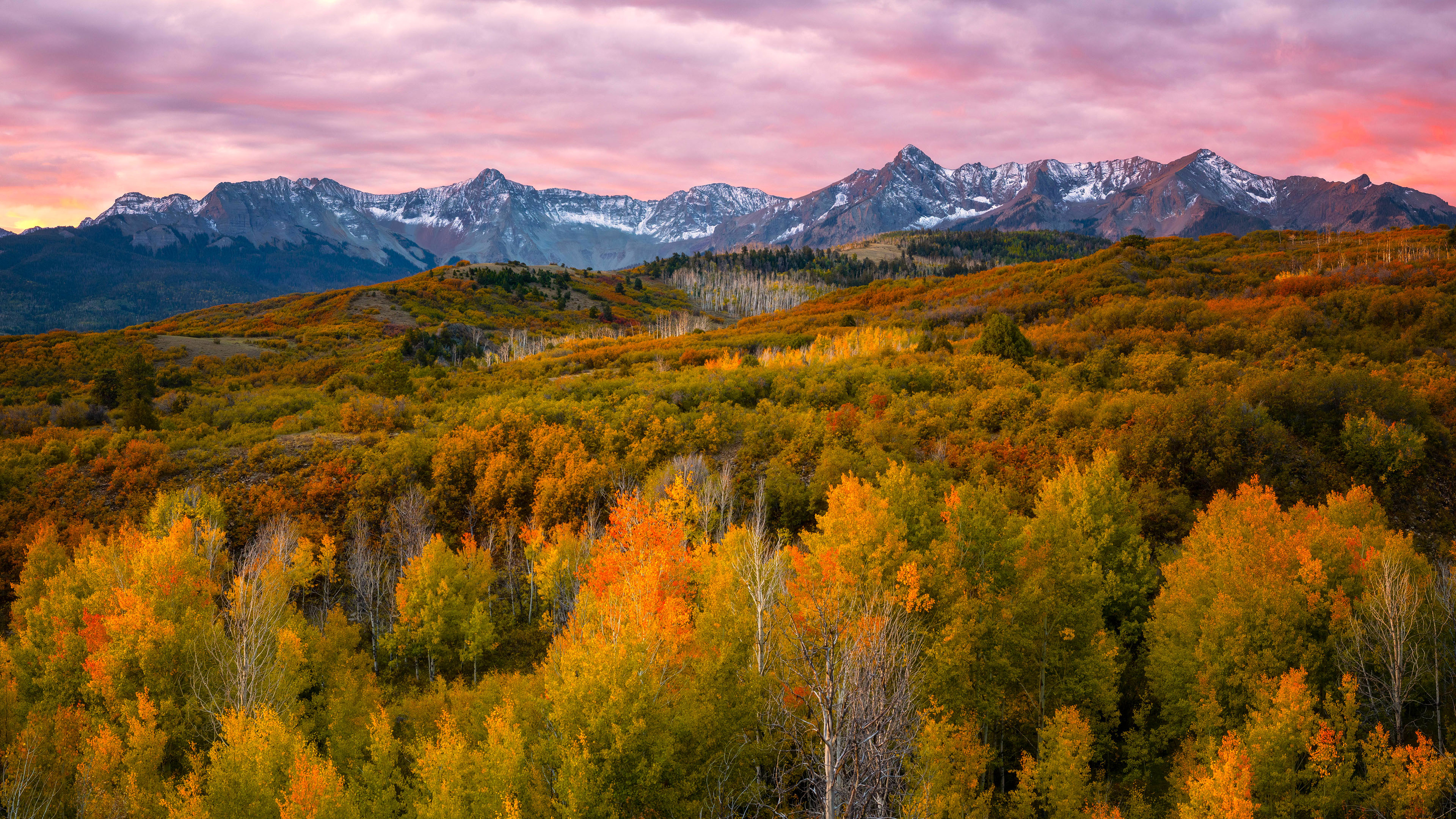 秋意正浓,树林,雪山,高山