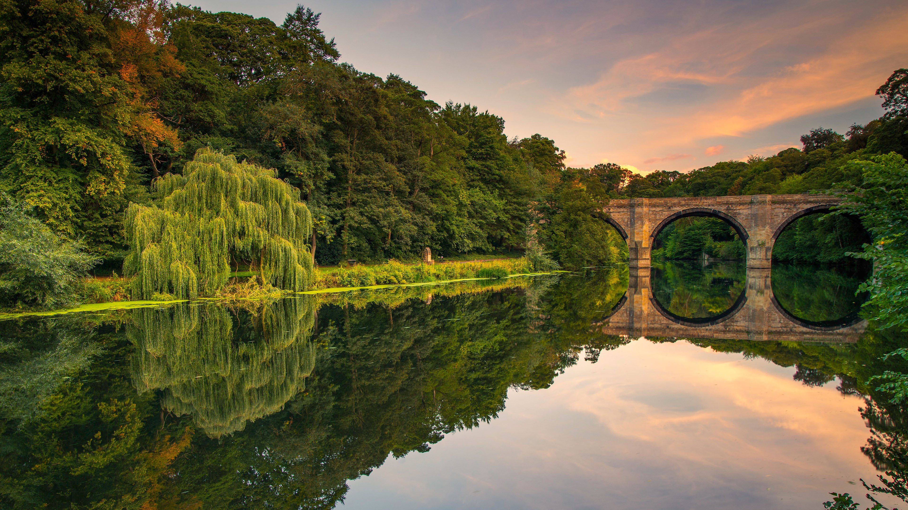 自然风光,落日,拱桥,倒影,柳树