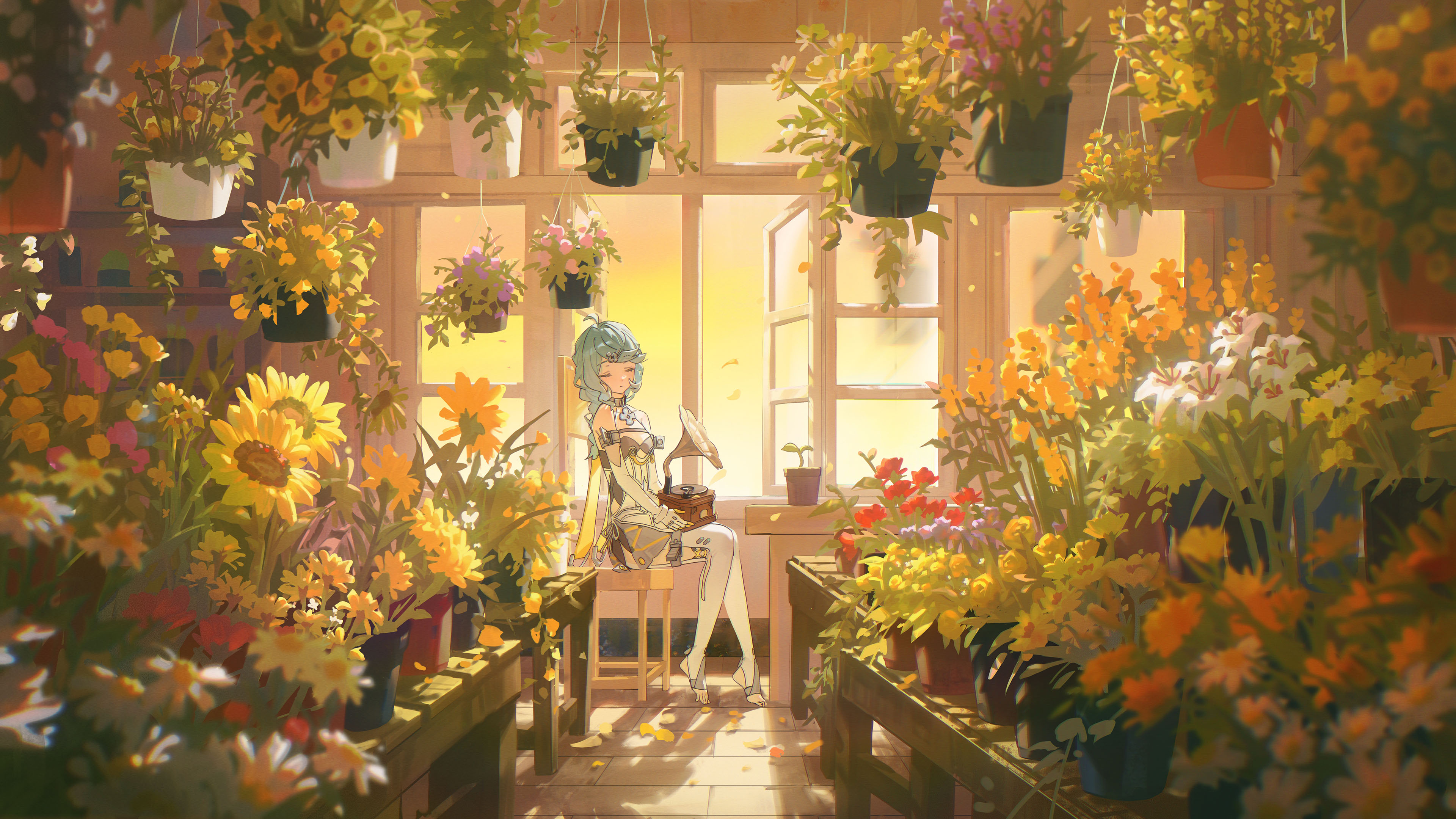 花房,向日葵,花店