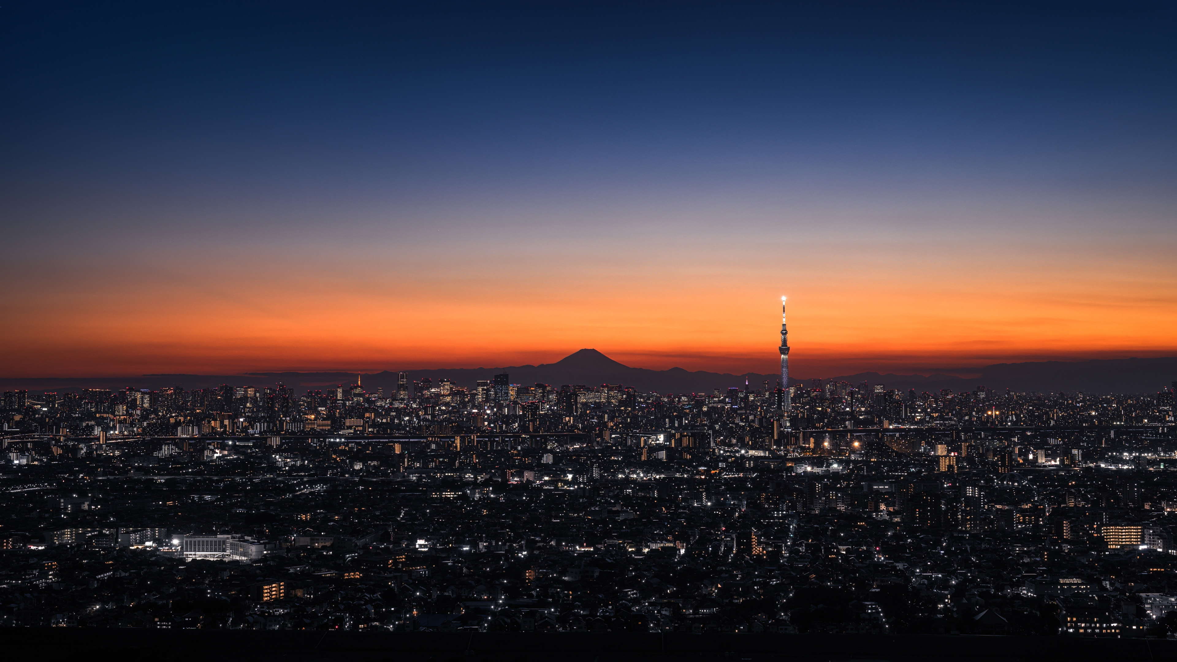 城市夜景,东京,日本,富士山