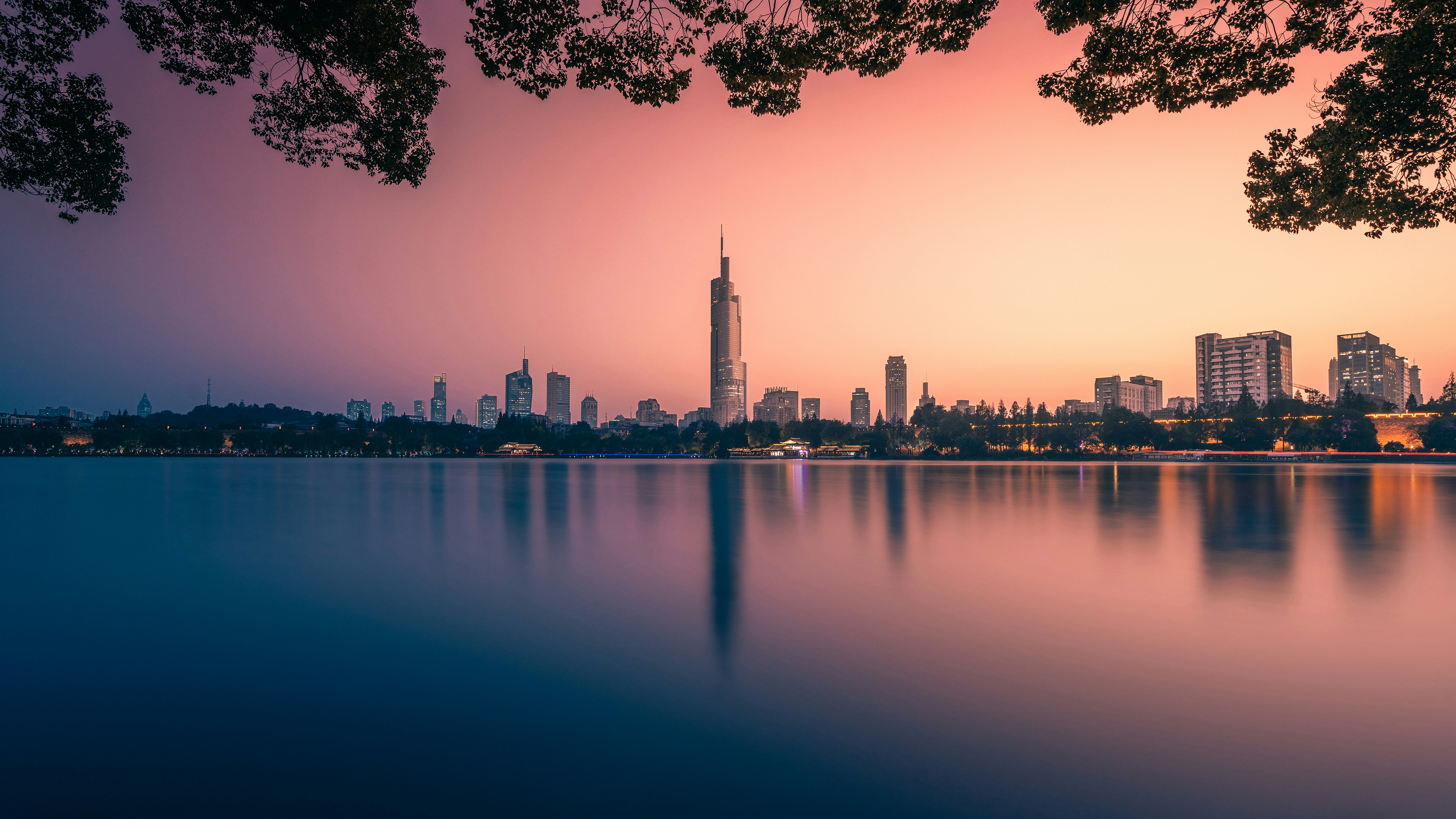 都市,树荫,傍晚