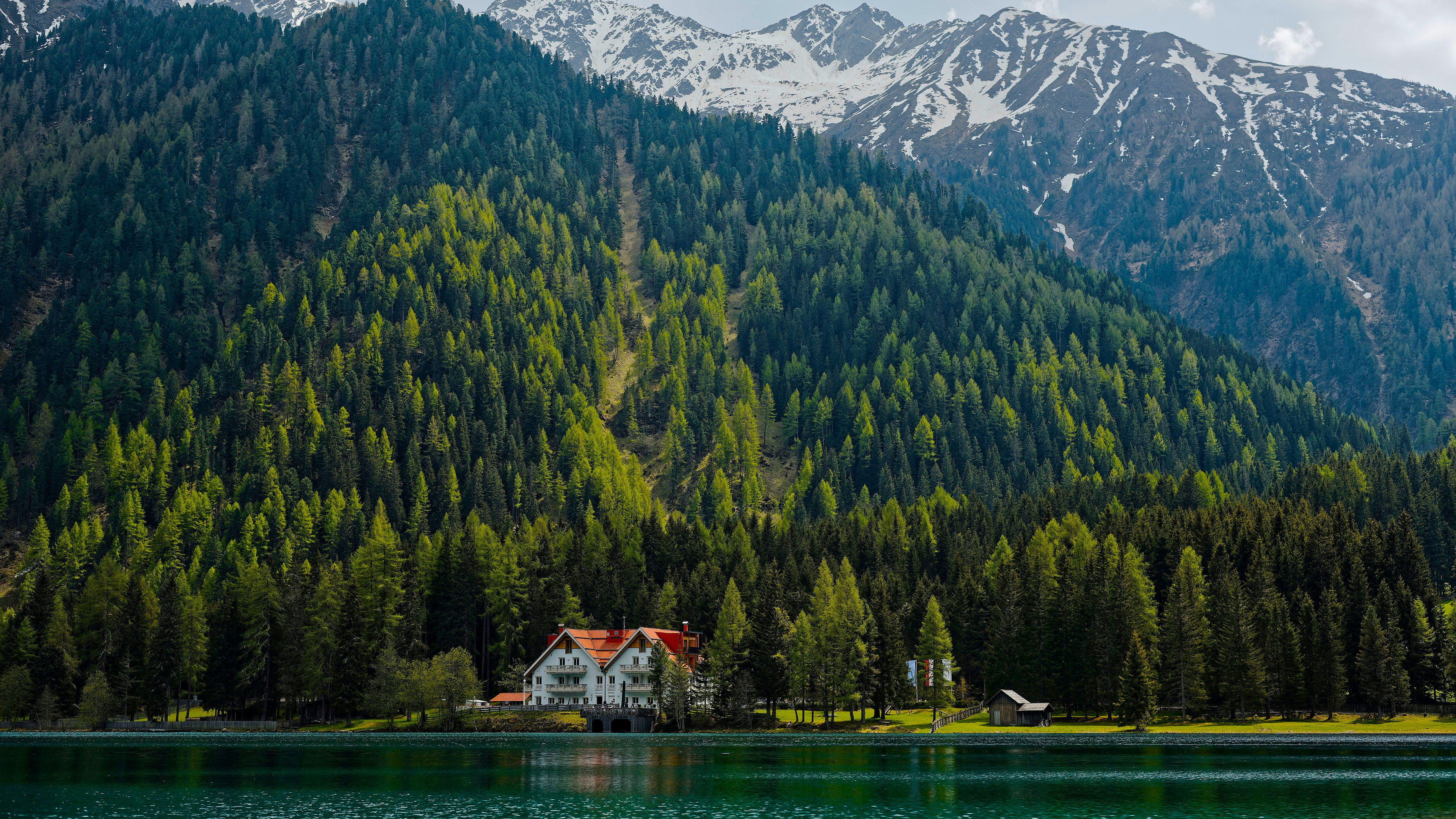 自然风光,湖畔,树林,雪山