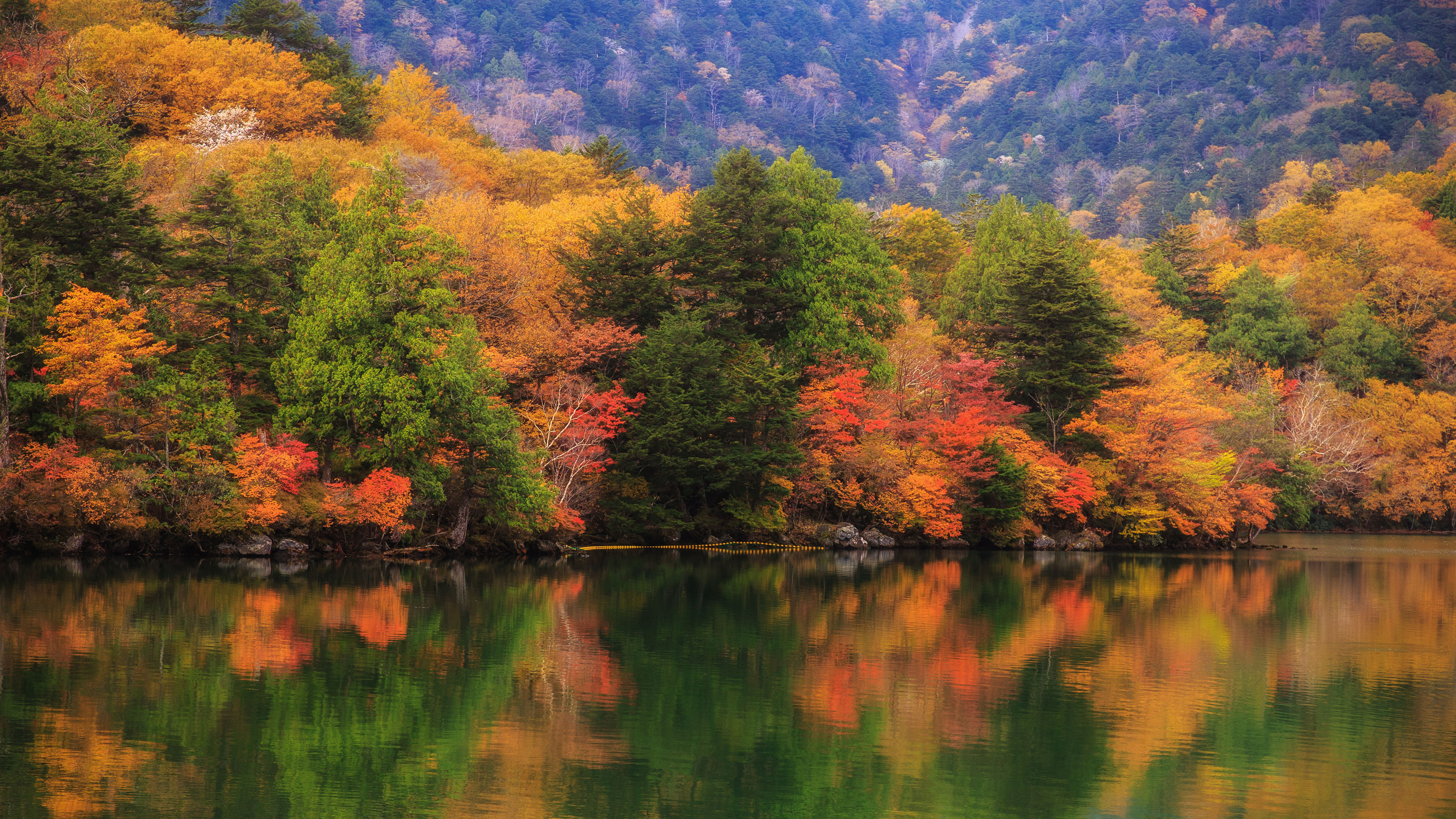秋意正浓,倒影,树林,湖水