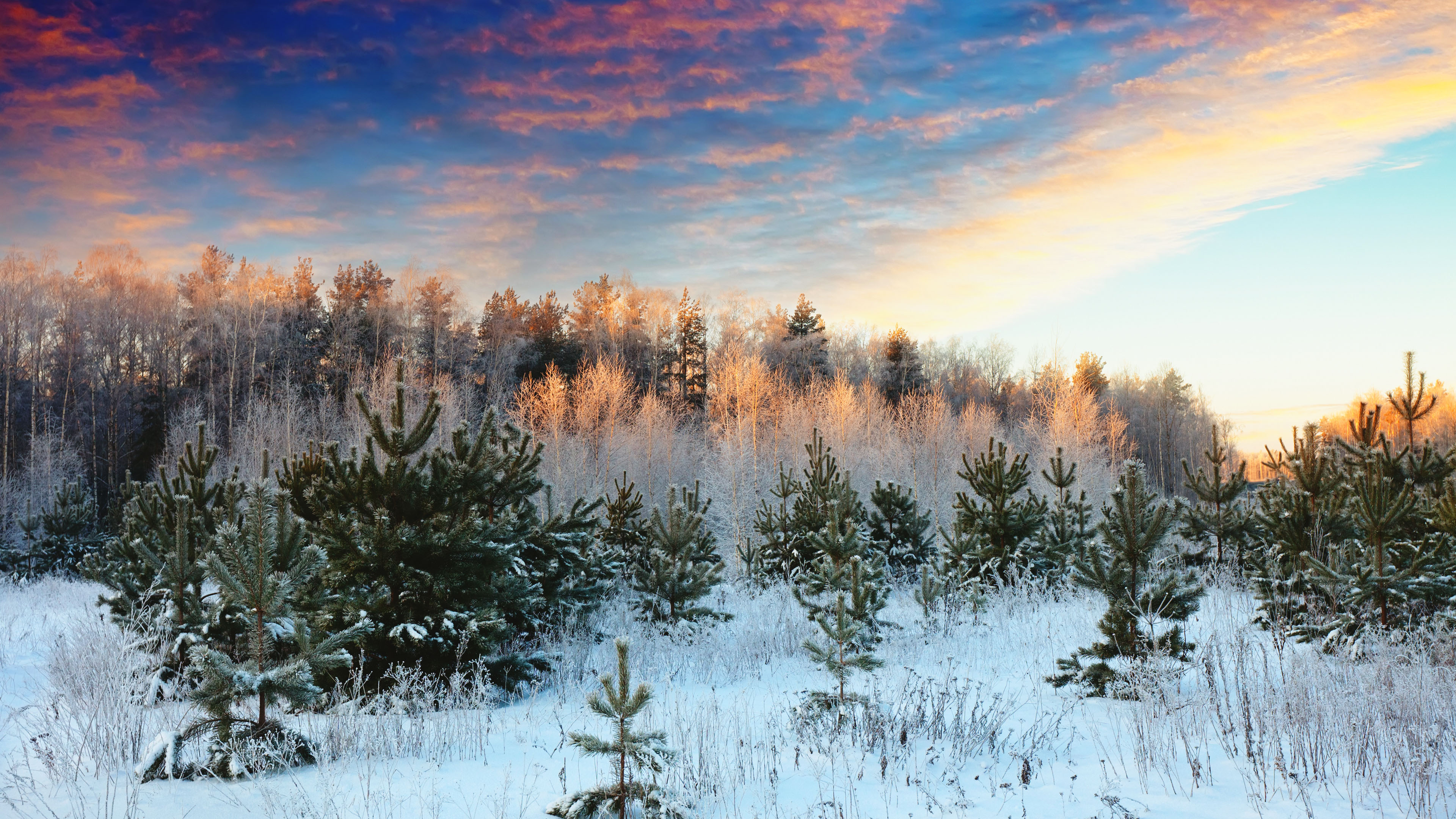冰天雪地,雪原,红霞