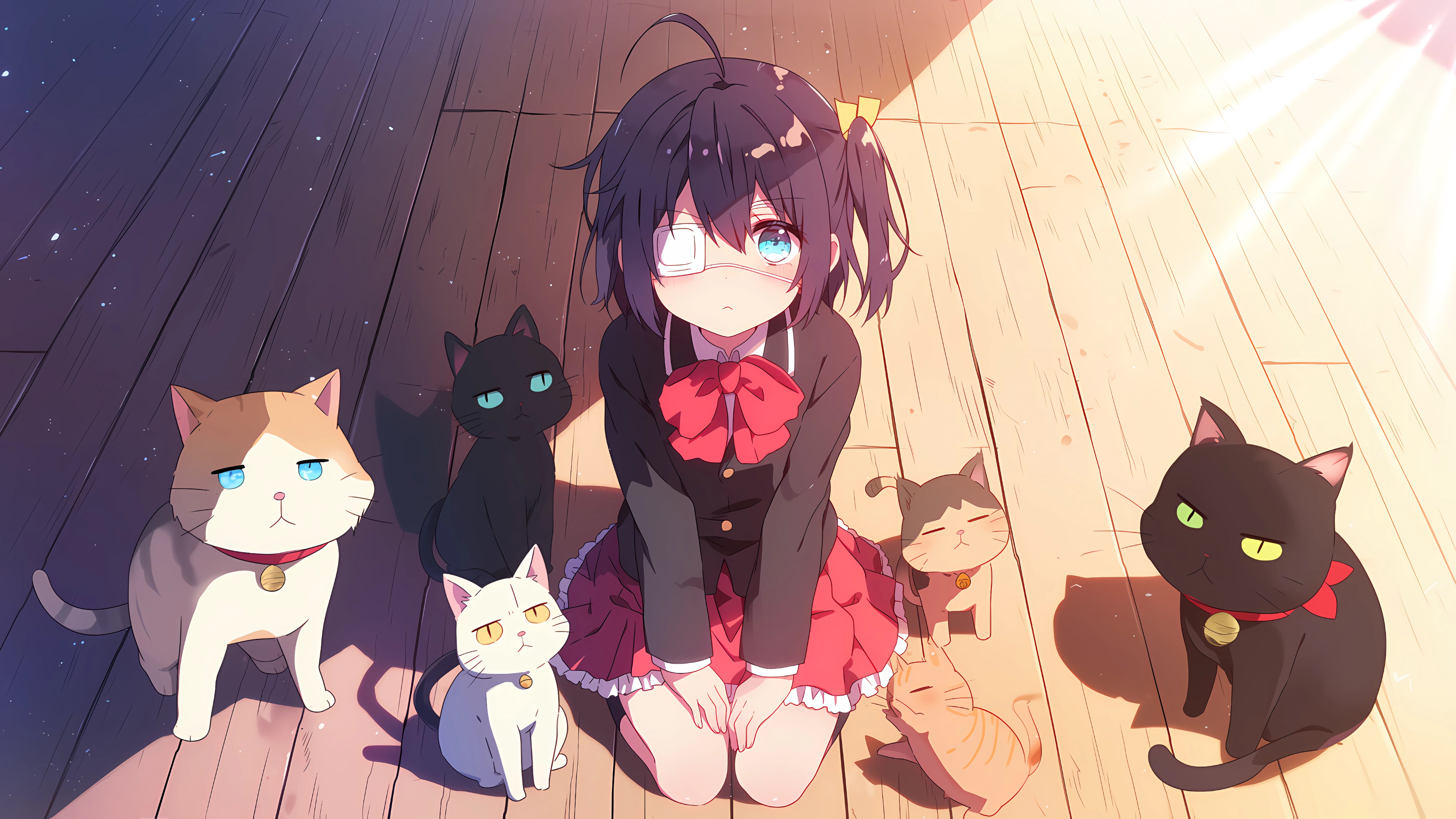 小鸟游六花,小猫,地板