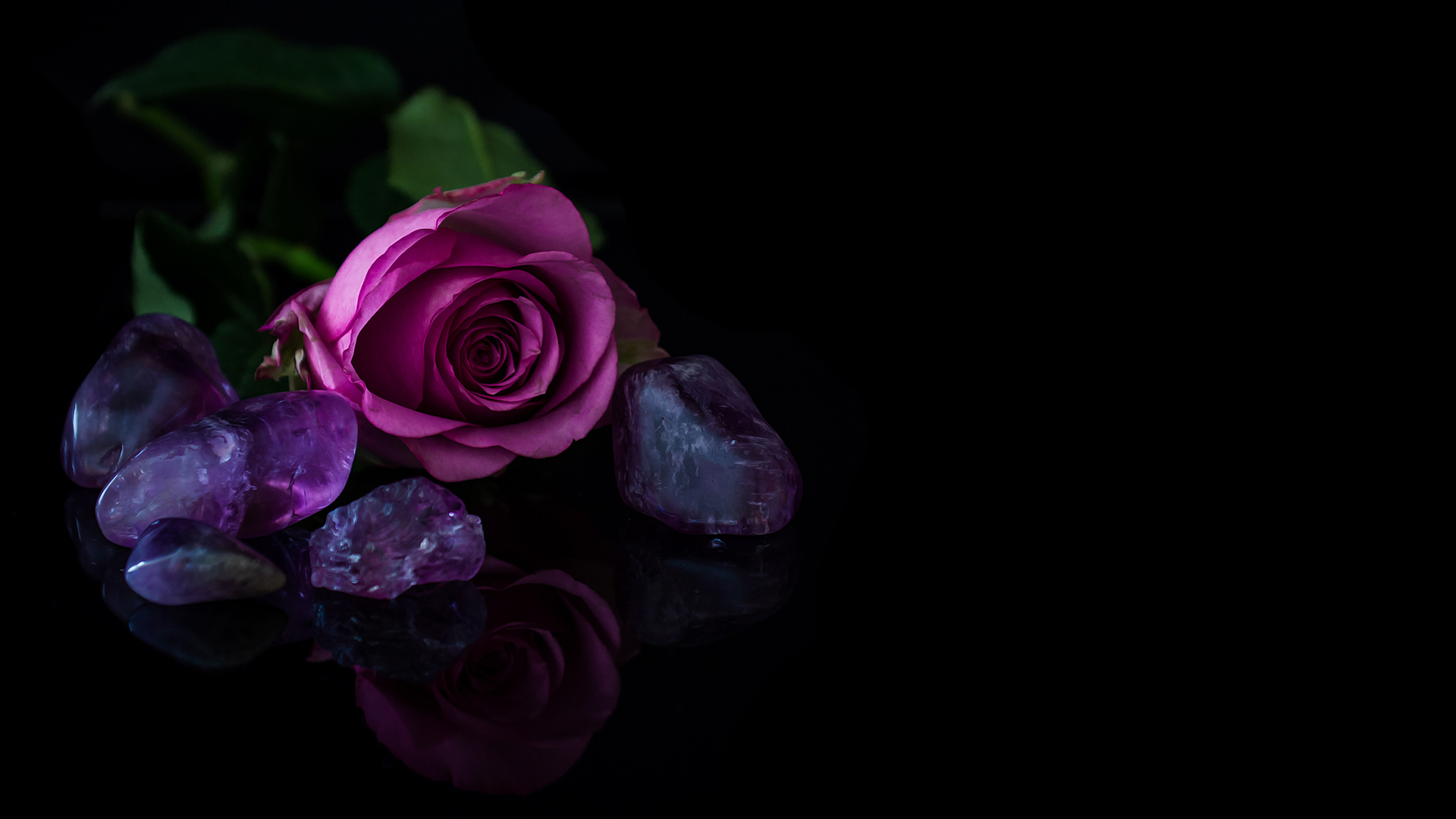玫瑰鲜花壁纸